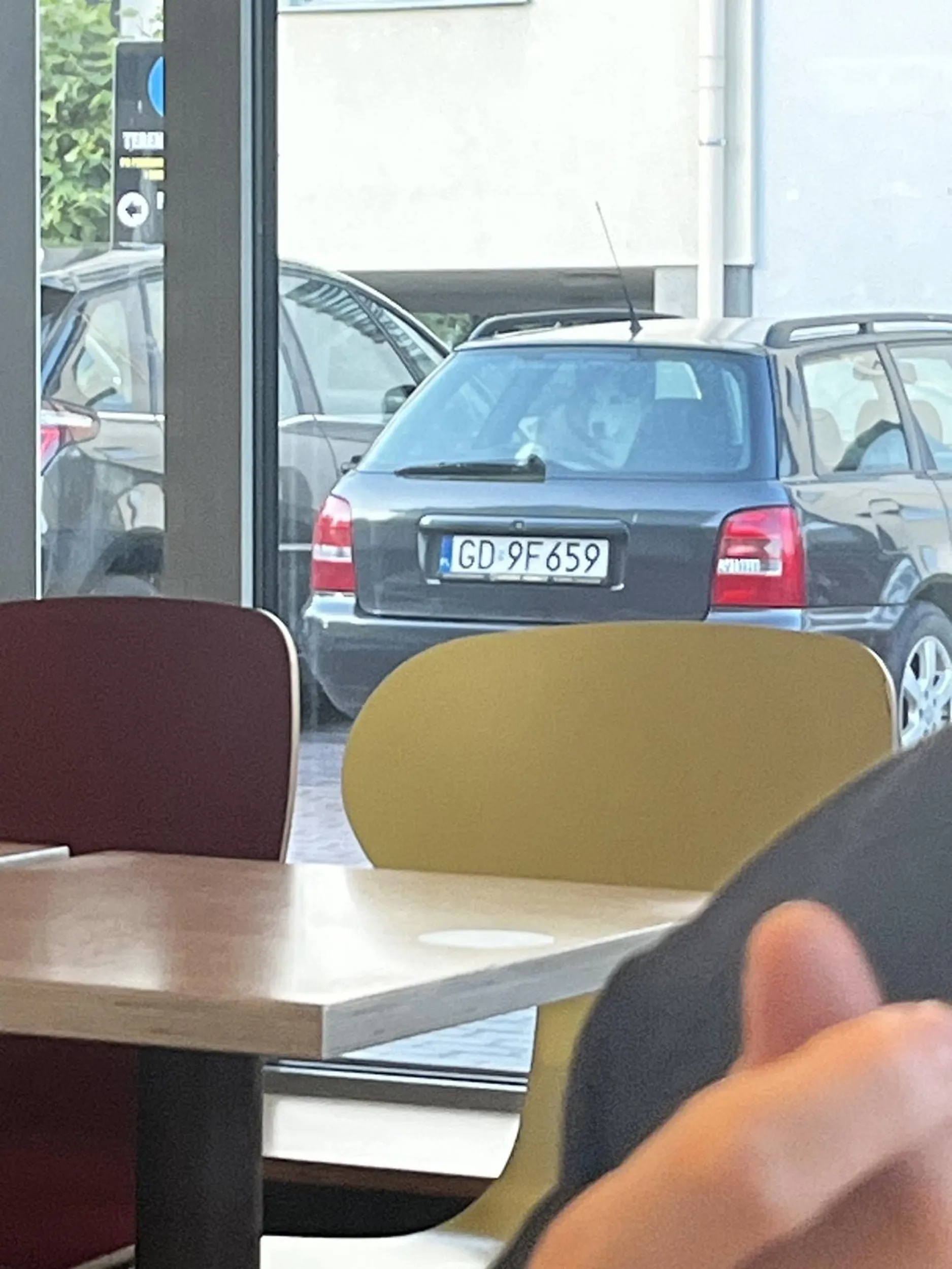 Gratulacje, w upał pies zostawiony w aucie, bo się zachciało McDonalda właścicielom. Ciężko podjechać na mcdrive lub zjeść z psem przy stolikach na dworzu?