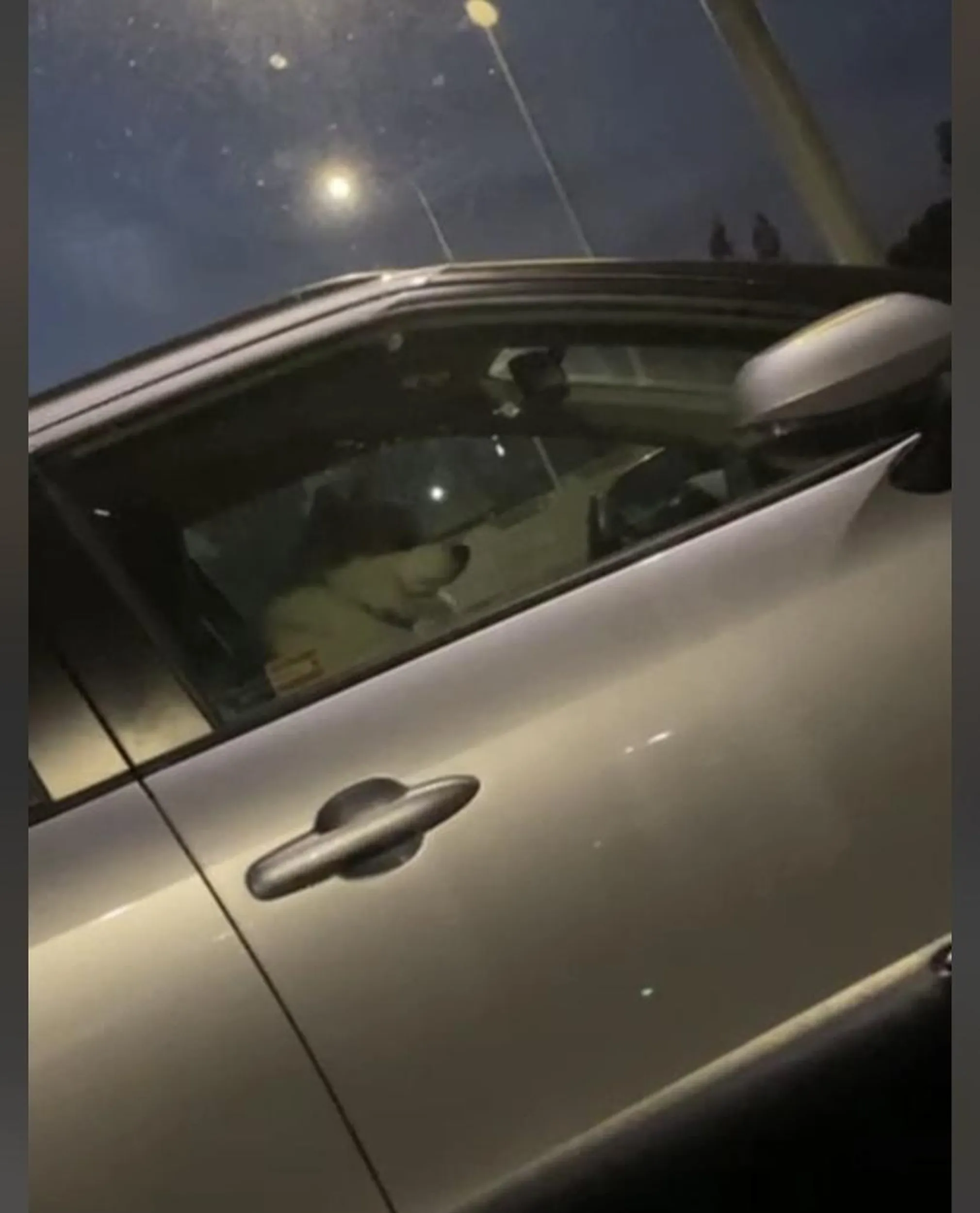 Jak już jedziesz na zakupy to nie zostawiaj psa w aucie. Może i po 20:00 nie ma słońca ale termometr wskazywał 24*C jako odczuwalne na zewnątrz, wewnątrz to już całkiem. A Ty zostawiłeś psa bez uchylonego okna. Dramat. Skrajny idiotyzm.