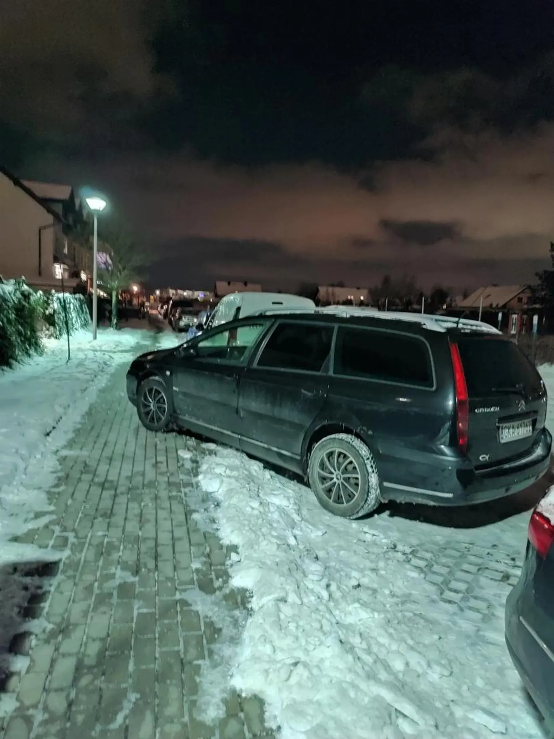 Kaszubski władca gdańskich chodników