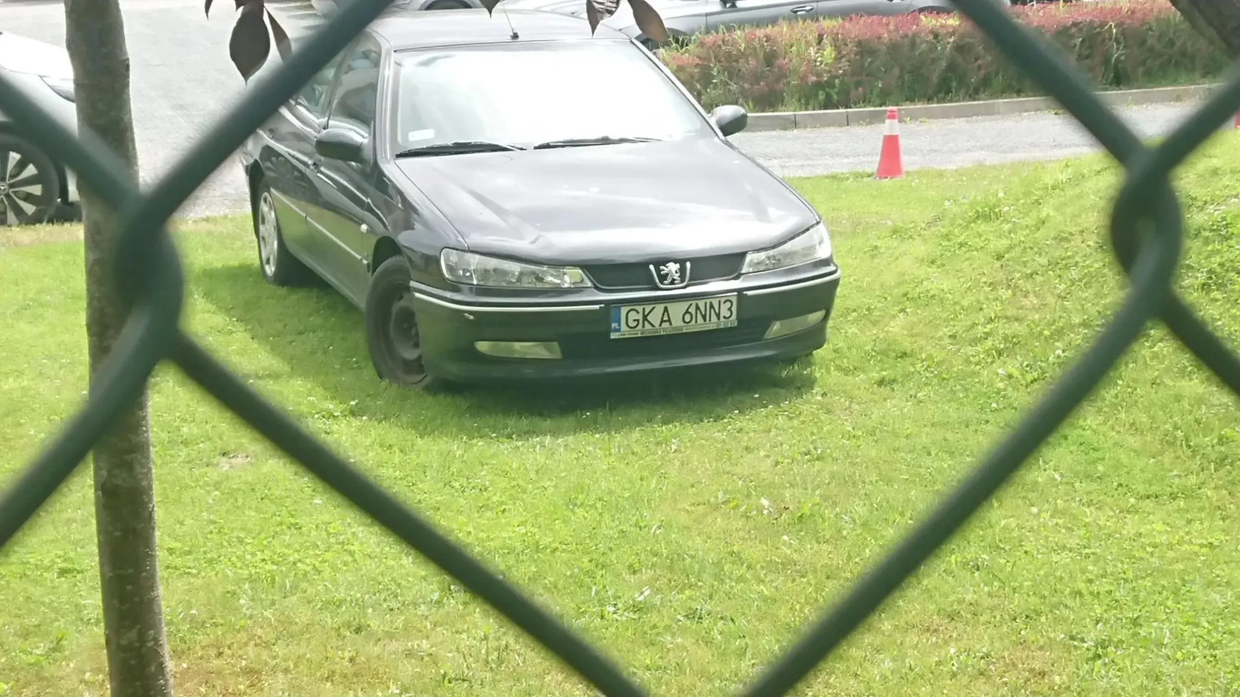 Kaszub na gościnnych występach w centrum Sopotu