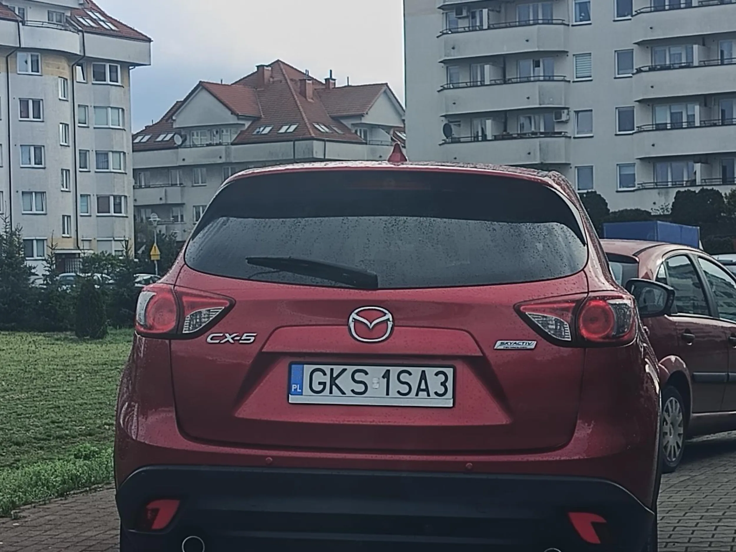 Parkuje na zakazie zatrzymywania się i postoju