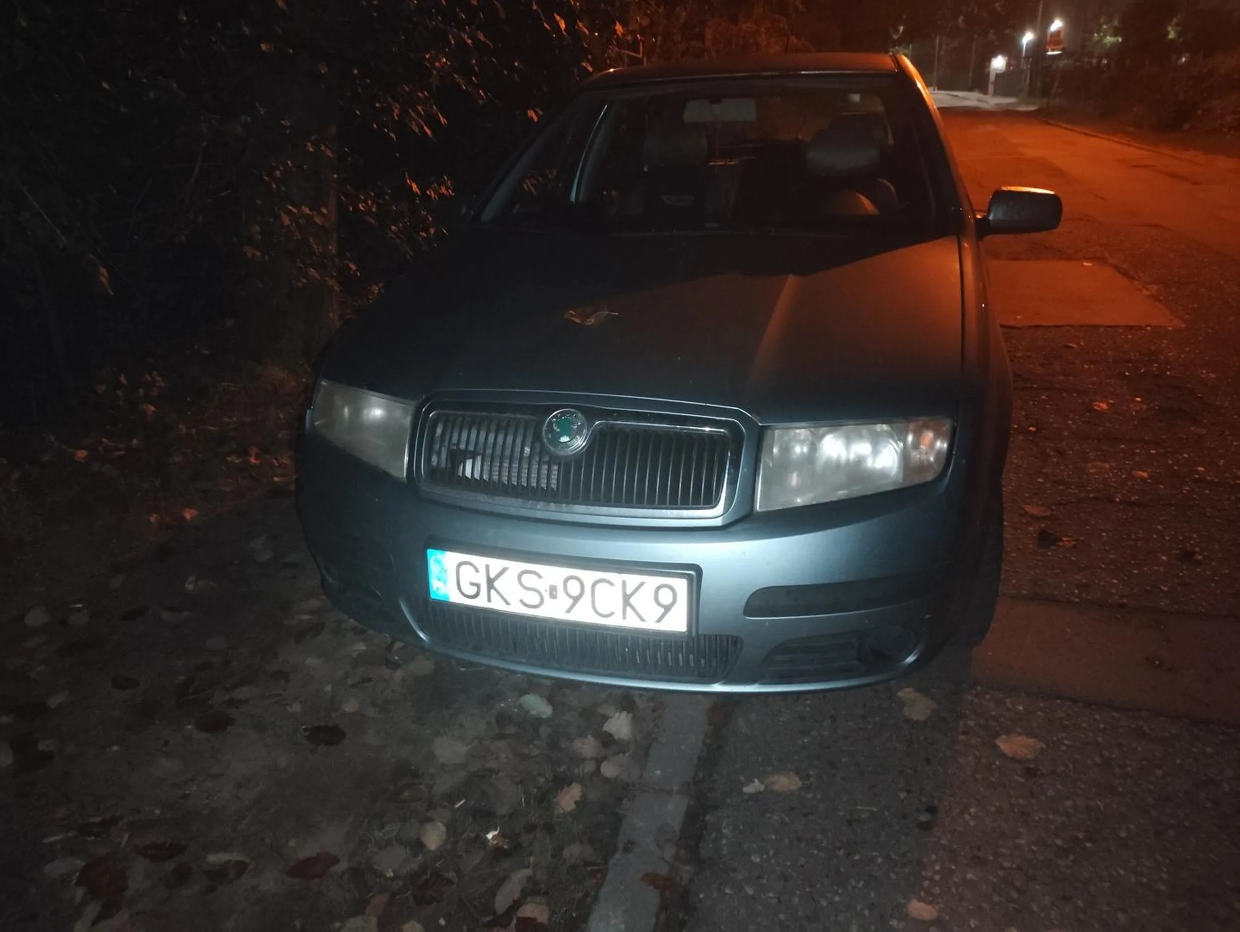 Kolejny bałwan parkujący na trawniku.