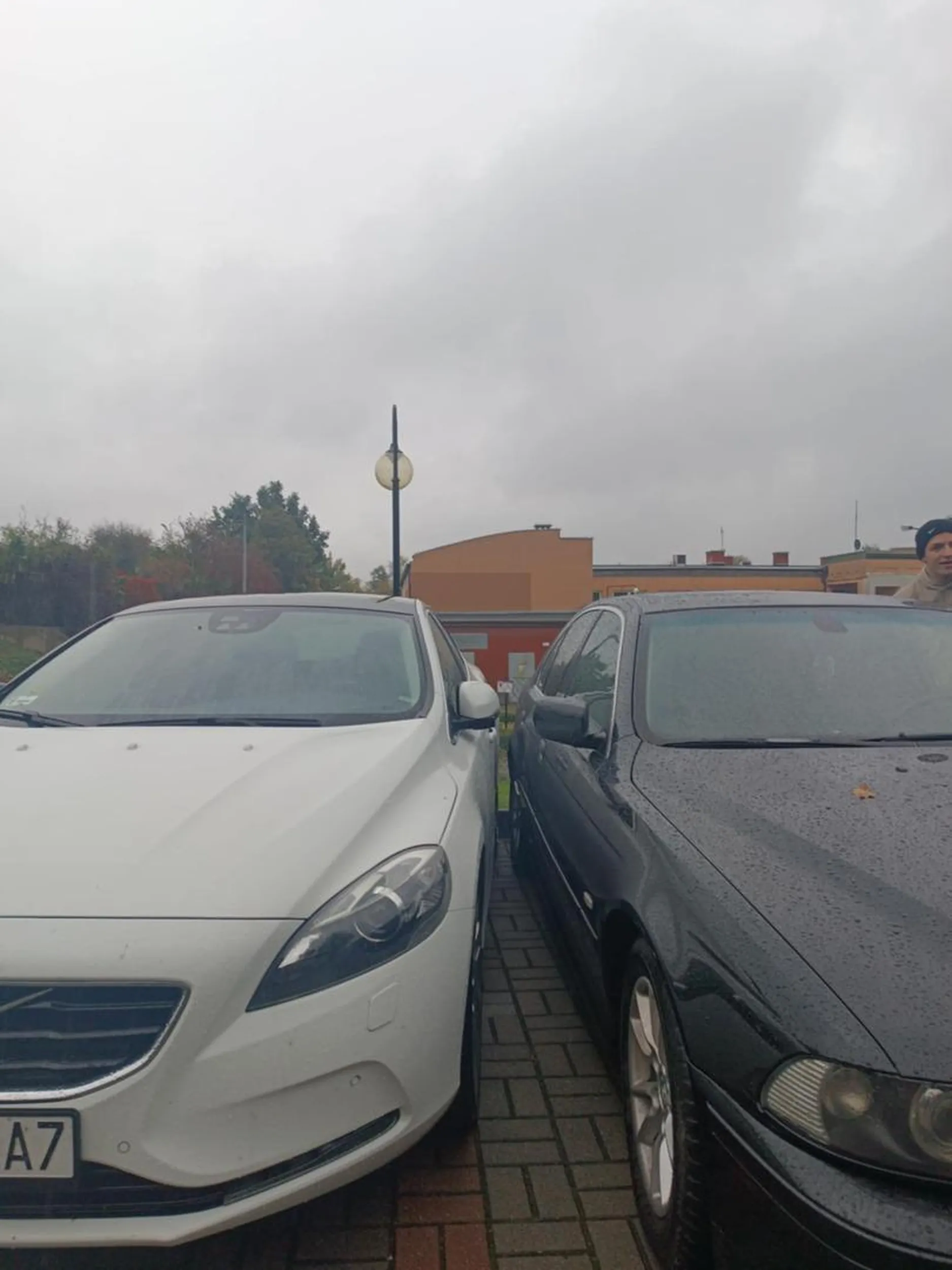 Nie potrafi parkować prawo jazdy wygrane w czipsach jeszcze się awanturuje gdy zwraca się uwagę.