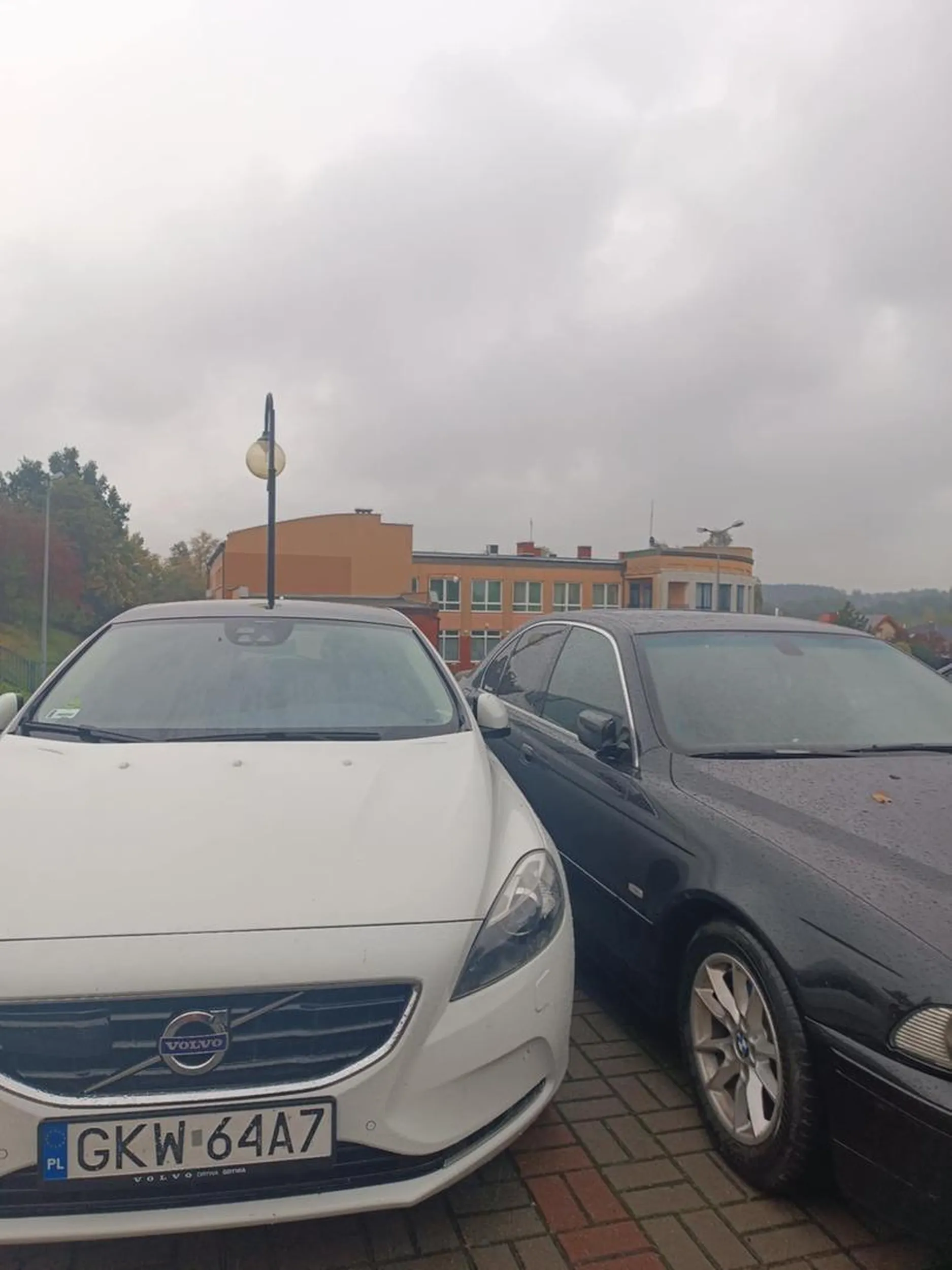 Nie potrafi parkować prawo jazdy wygrane w czipsach jeszcze się awanturuje gdy zwraca się uwagę.