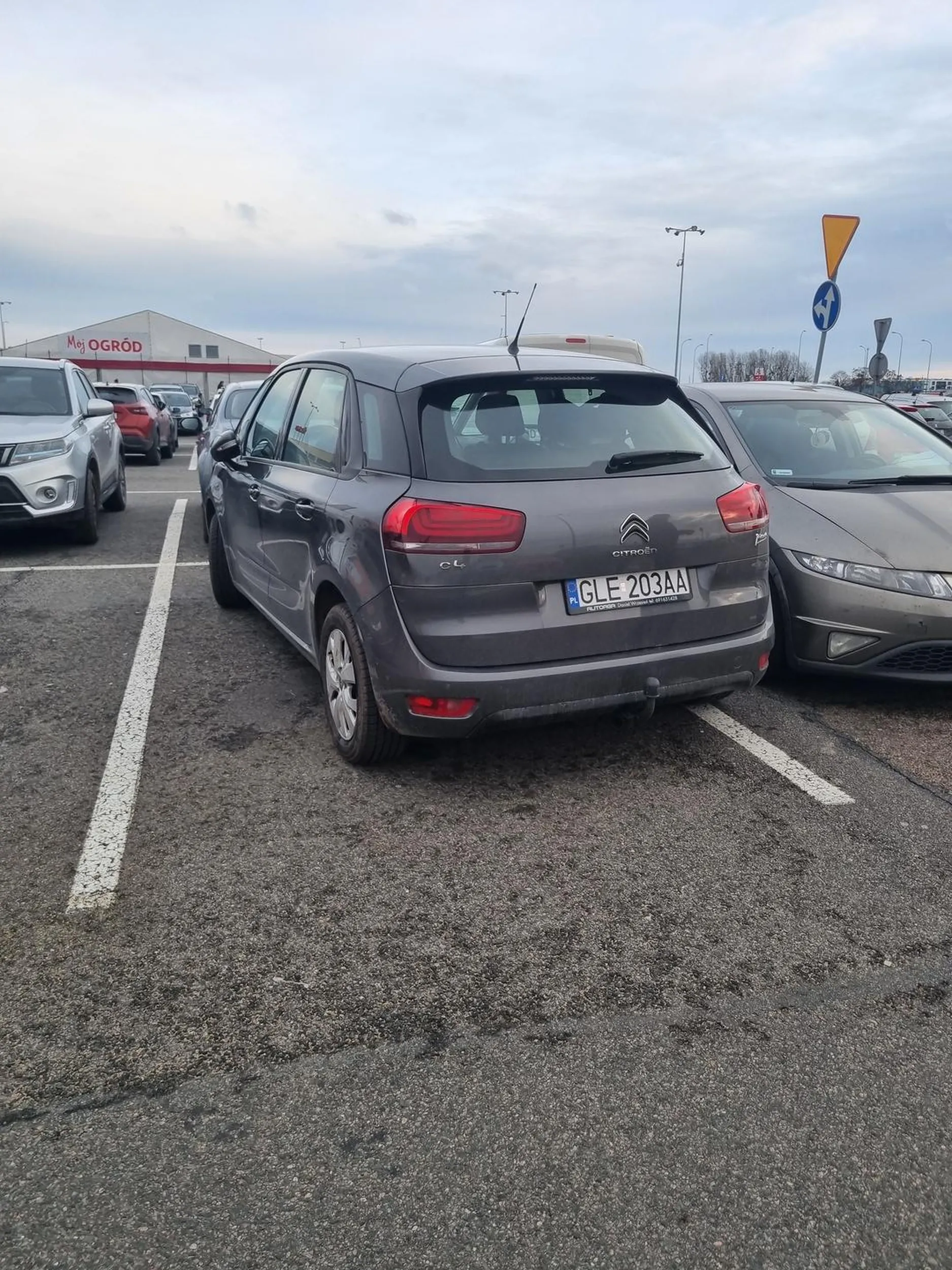 Mistrz/yni parkowania