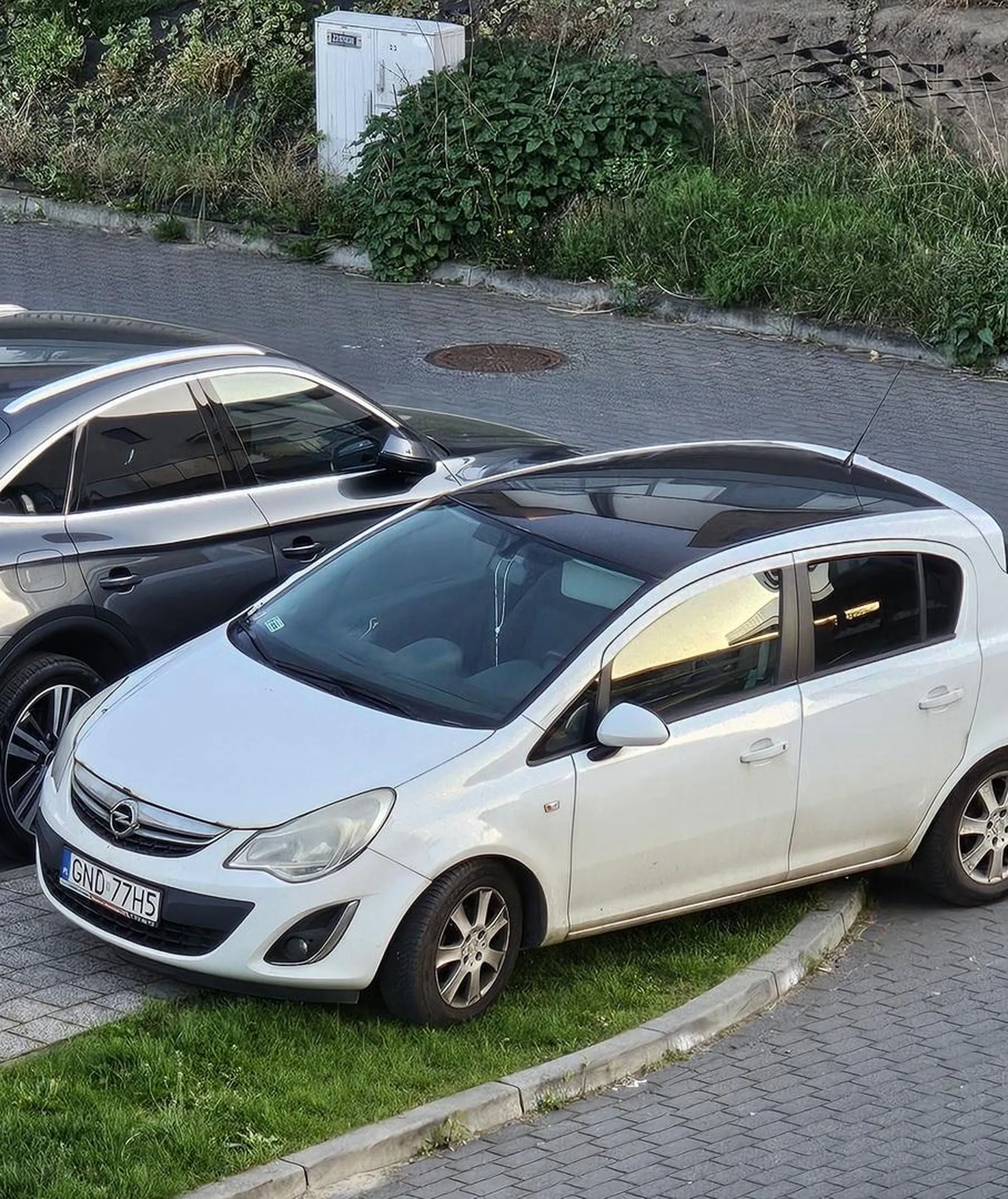 Niestety trudności z rozróżnianiem trawnika od miejsca parkingowego