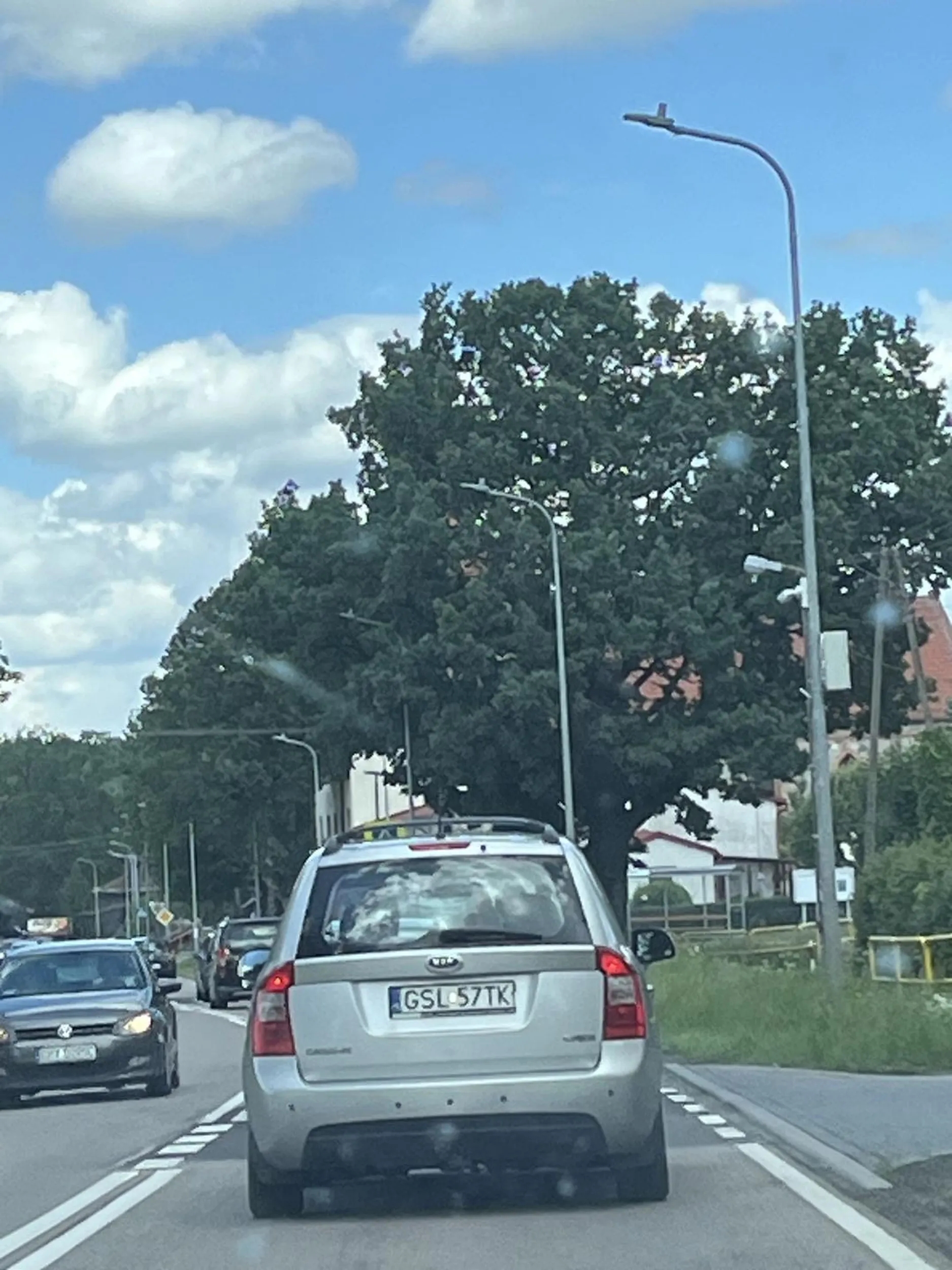 Przyszły morderca albo samobójca. Wyprzedza pod górkę na podwójnej ciągłej i siedzi cały czas na tyle