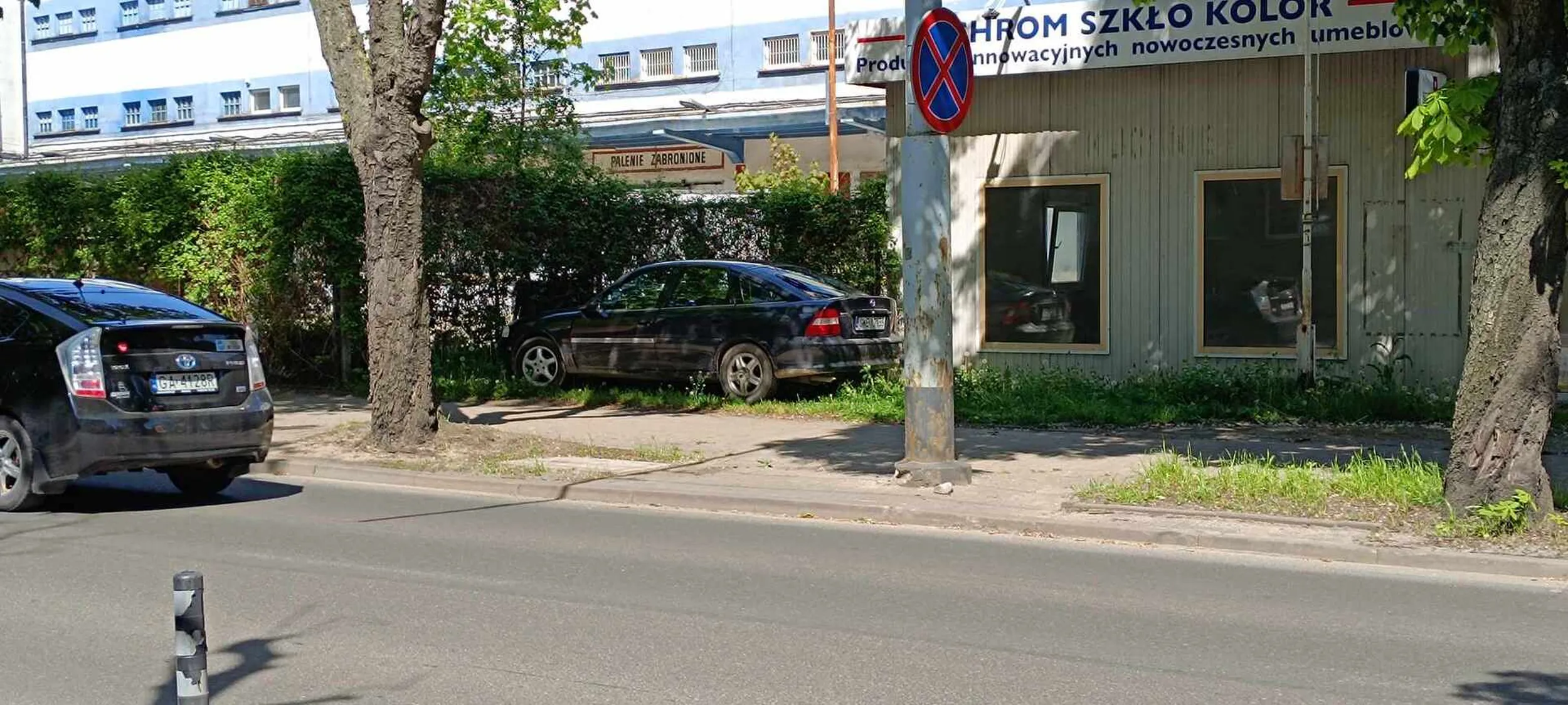 Król parkowania, nie można na chodniku to można na trawniku