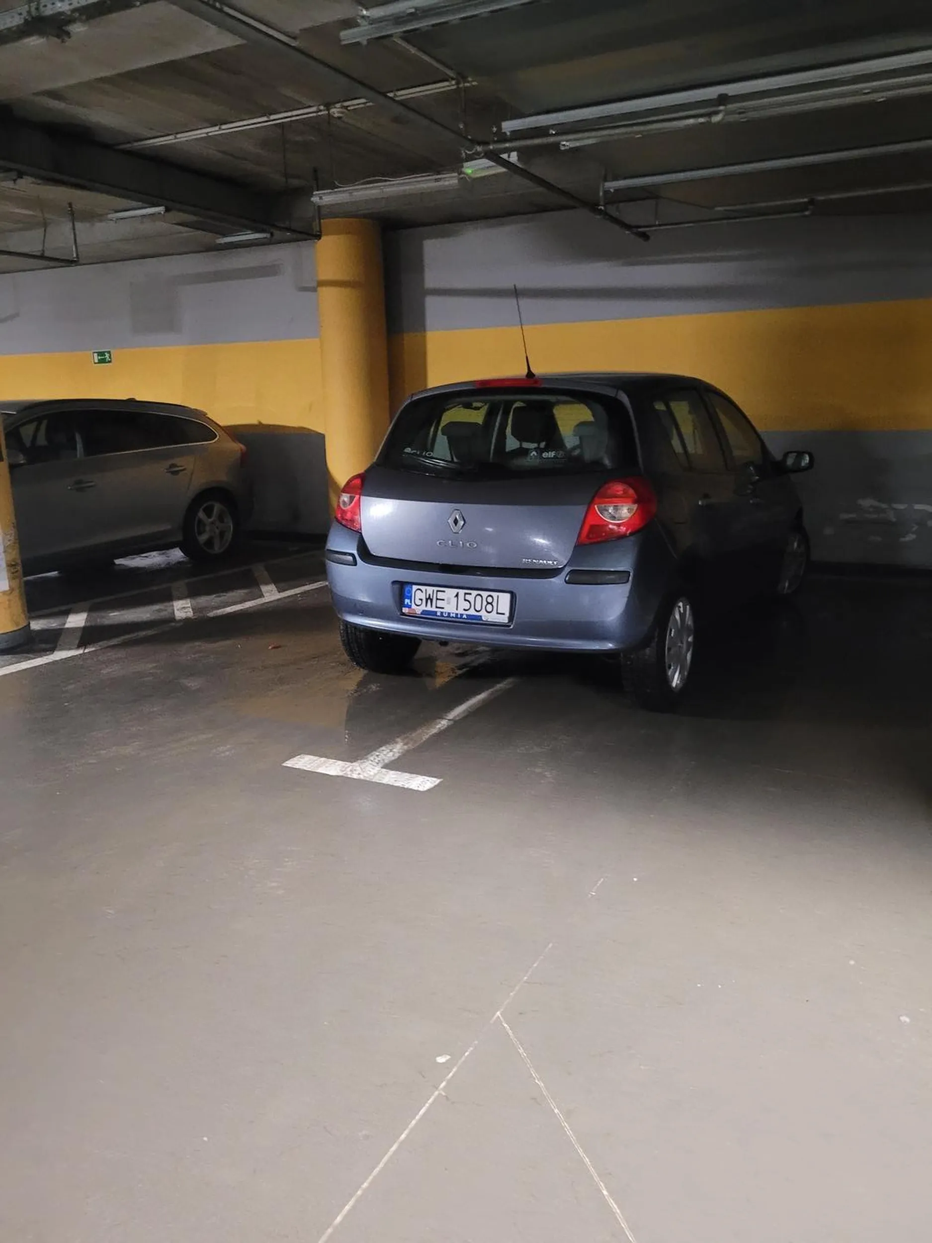 zdecydowany brak mózgu