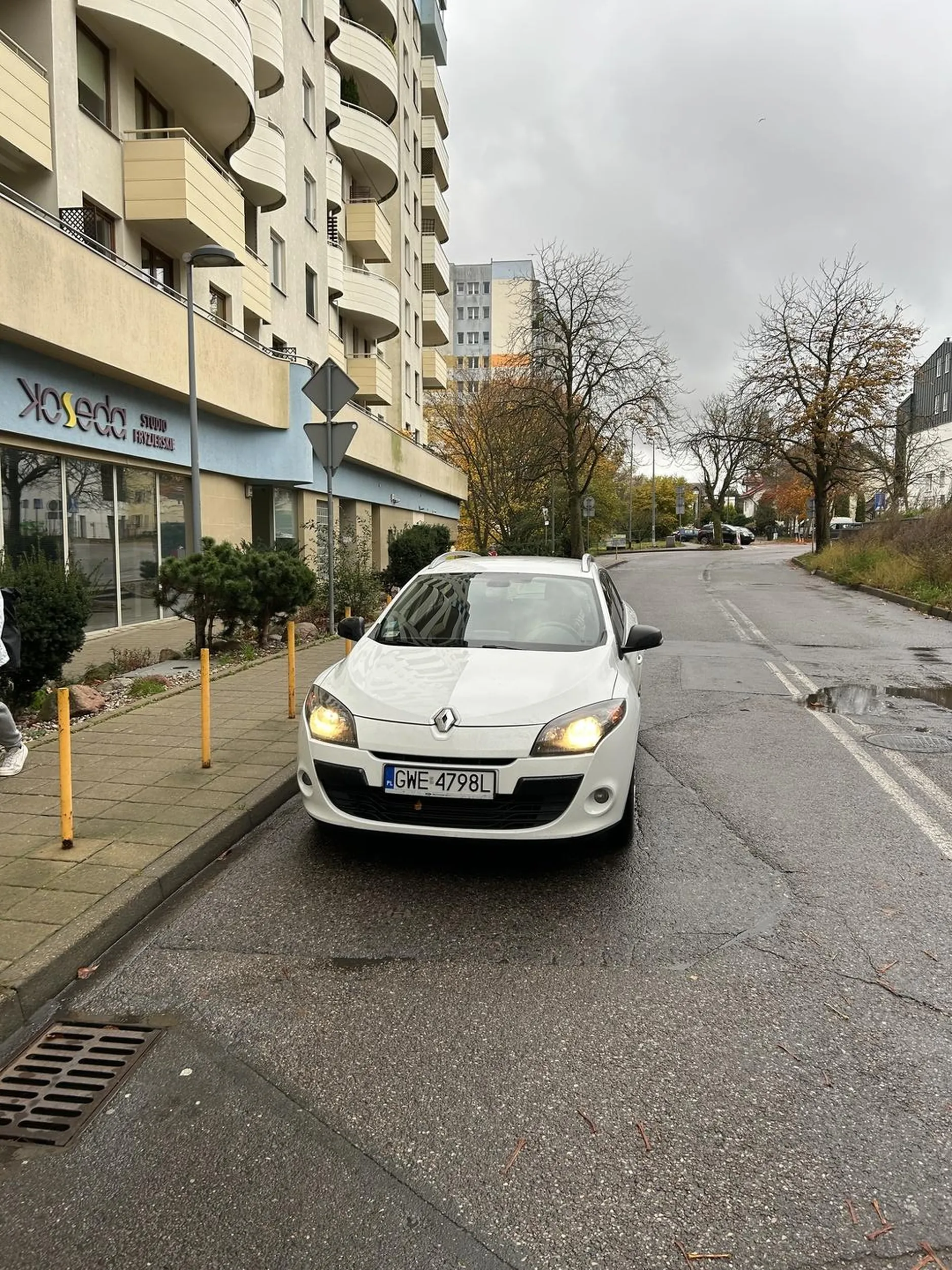 Zakaz zatrzymywania się, awaryjki bo przecież będzie ameba niewidzialna i to tuż przed przejściem dla pieszych.