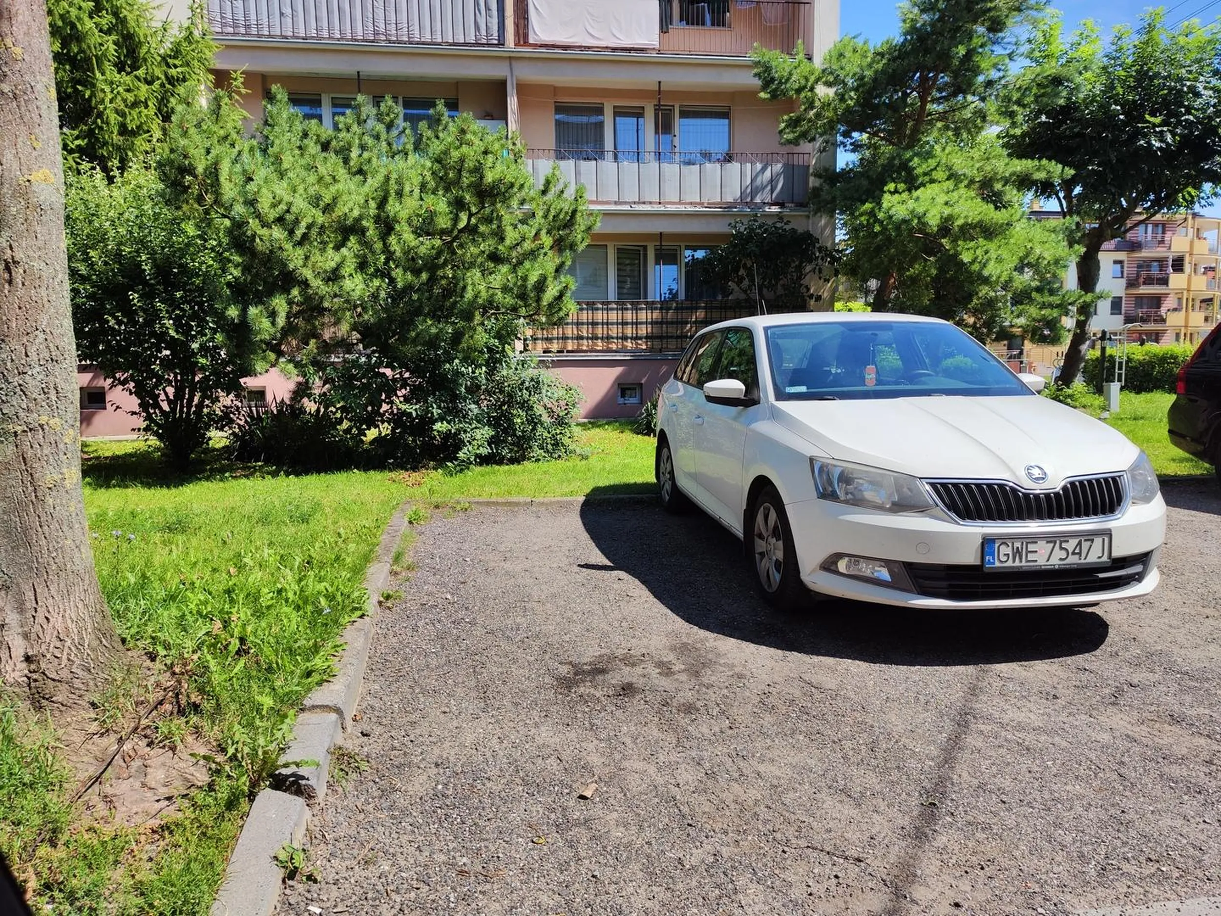 Parkowania uczył się od najlepszych. Sam pod drzewem nie zaparkuje bo mu ptaki obesrają ten służbowy samochód po dzwonie z firmy Kruszywo a i innych wspaniałomyślnie jak to ma w zwyczaju chroni przed obesraniem przez ptaki.