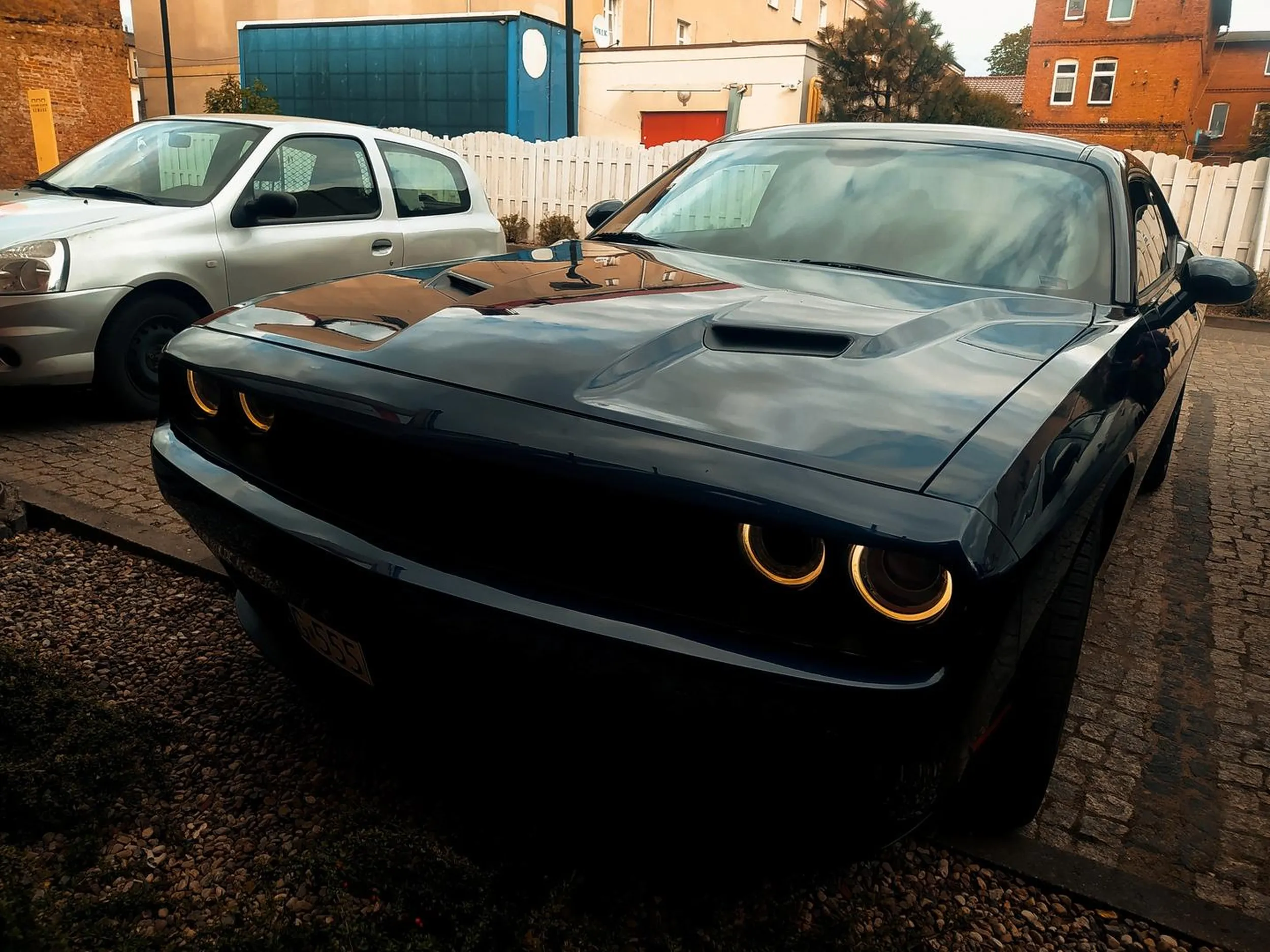 cudny dodge, pan kierowca pozwolił fotkę zrobić