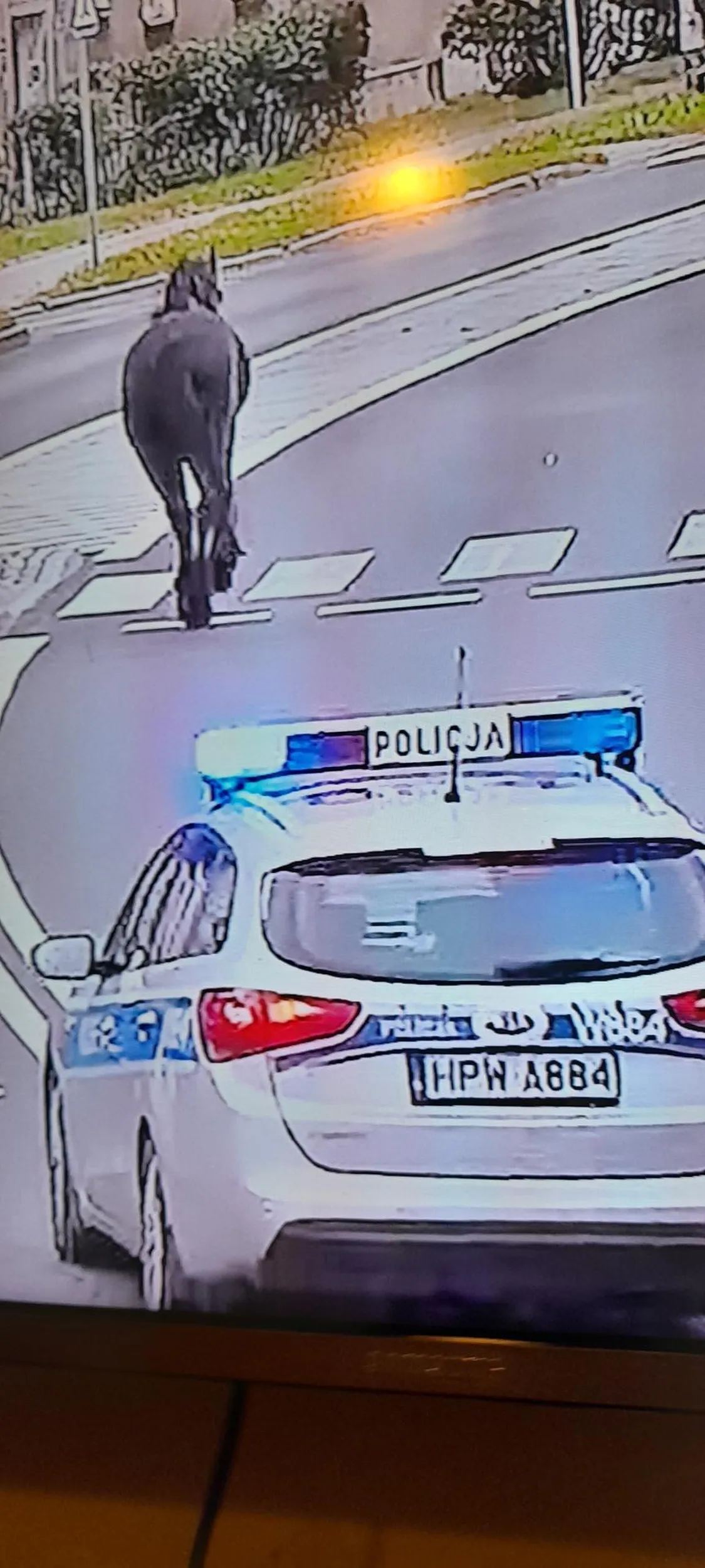 Aresztowali mi ziomka :(