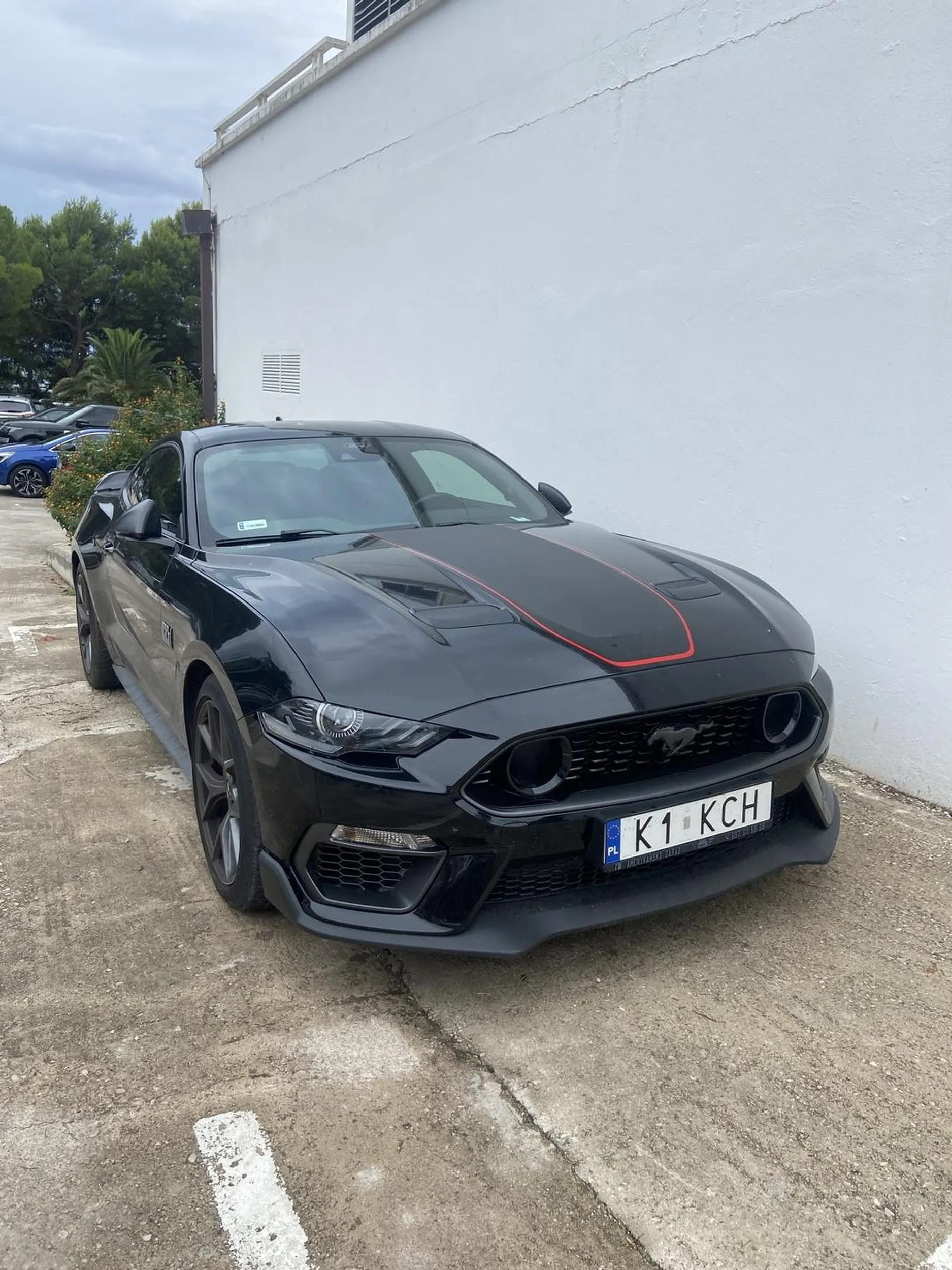 niezly mustang w chorwacji pozdro z tucepi przy blue sunie ??