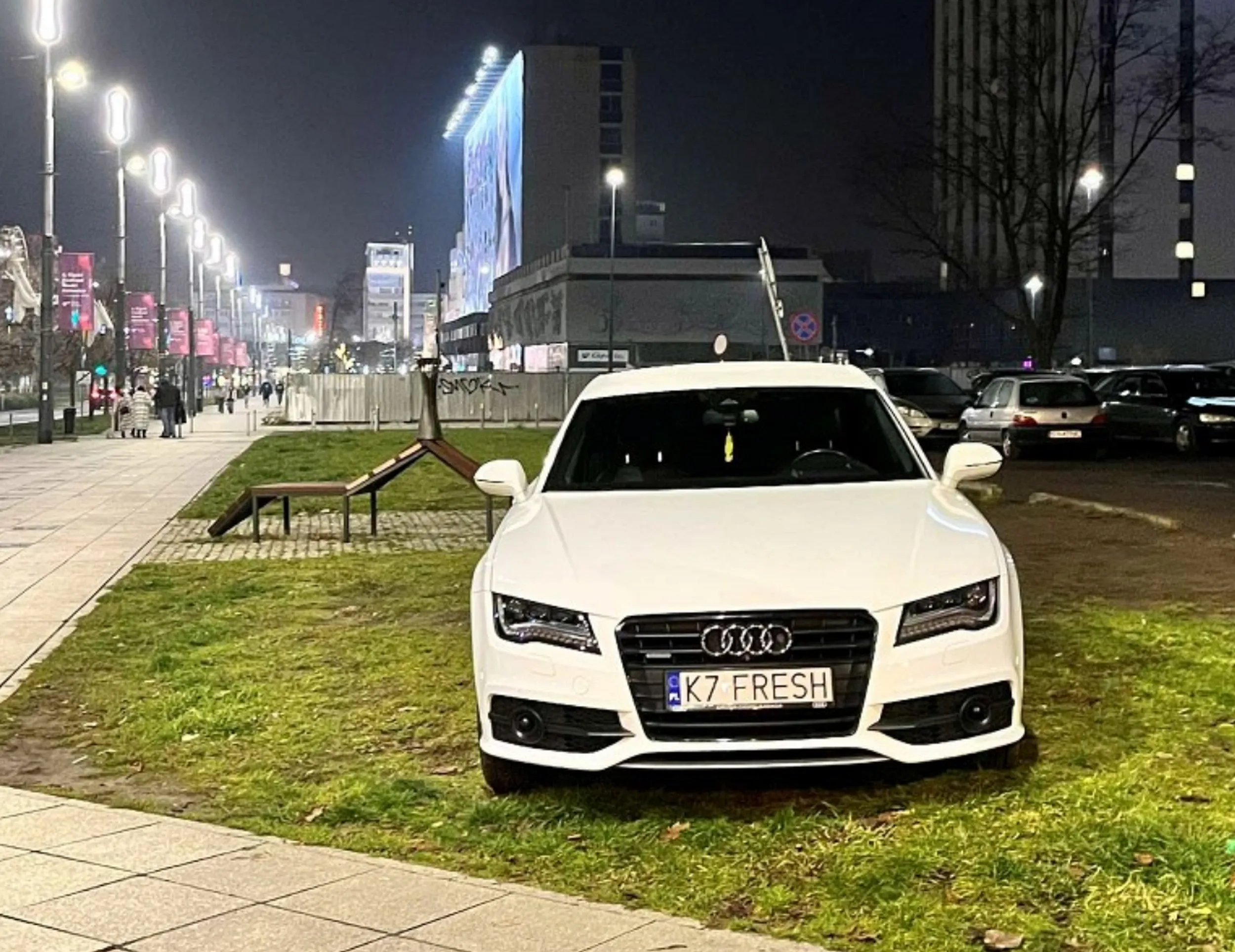 Mistrz parkowania w Katowicach! Mam nadzieję, że Matka Natura Ci się odwdzięczy za takie rozjeżdżanie trawników w mieście (bo Straż Miejska nie dała rady)!