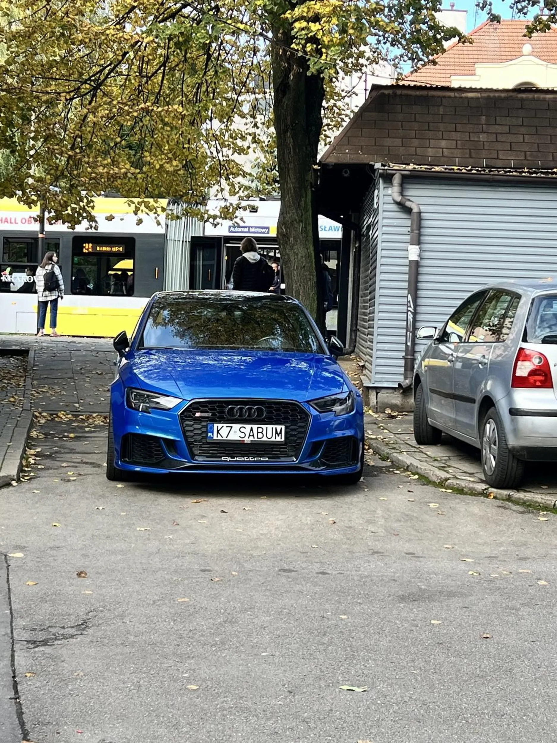Kot rs3