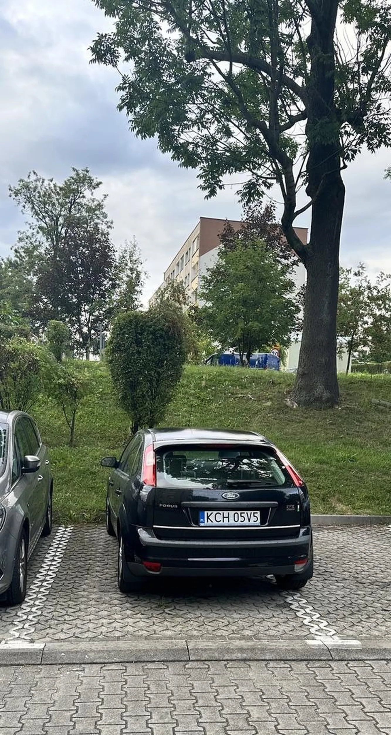 prawko znalezione w czipsach?