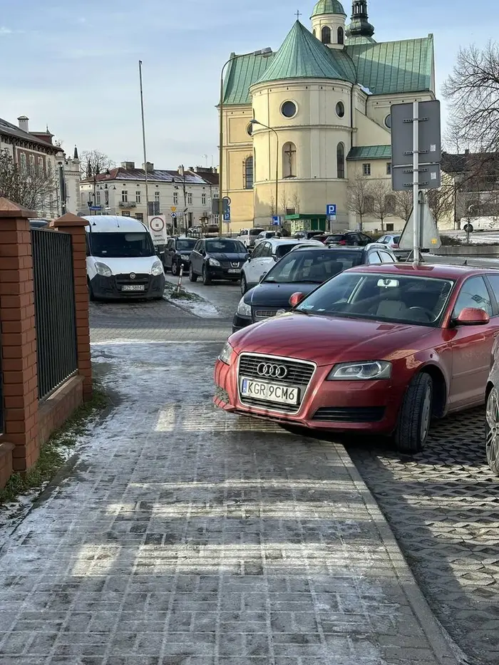 Naucz się parkować hamie