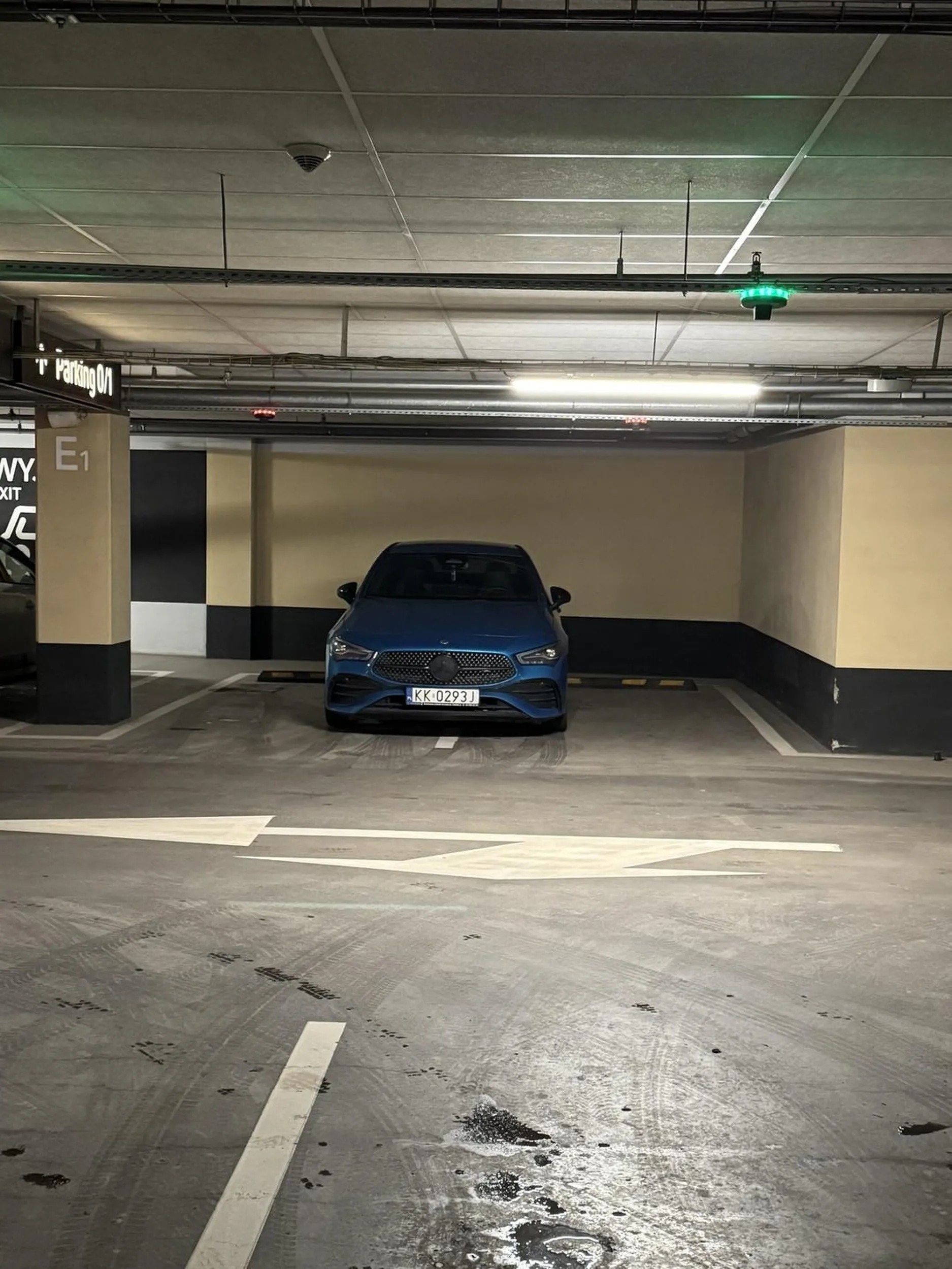 Gamoń parkuje na dwóch miejscach.