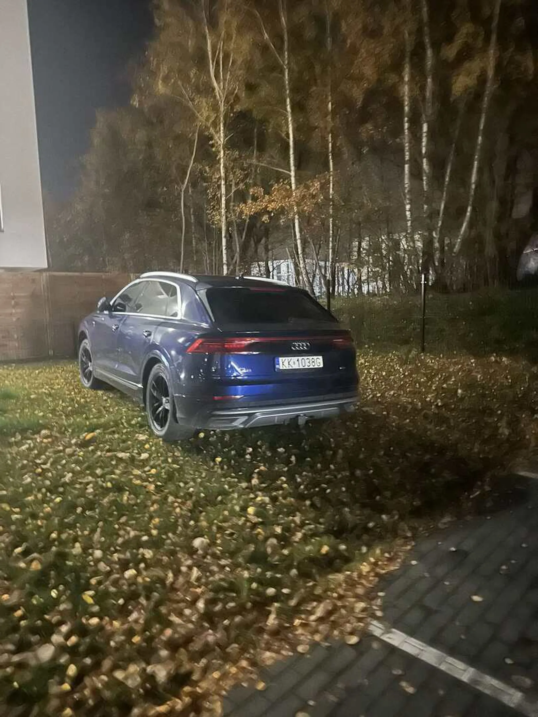 Parkuje samochód na trawniku