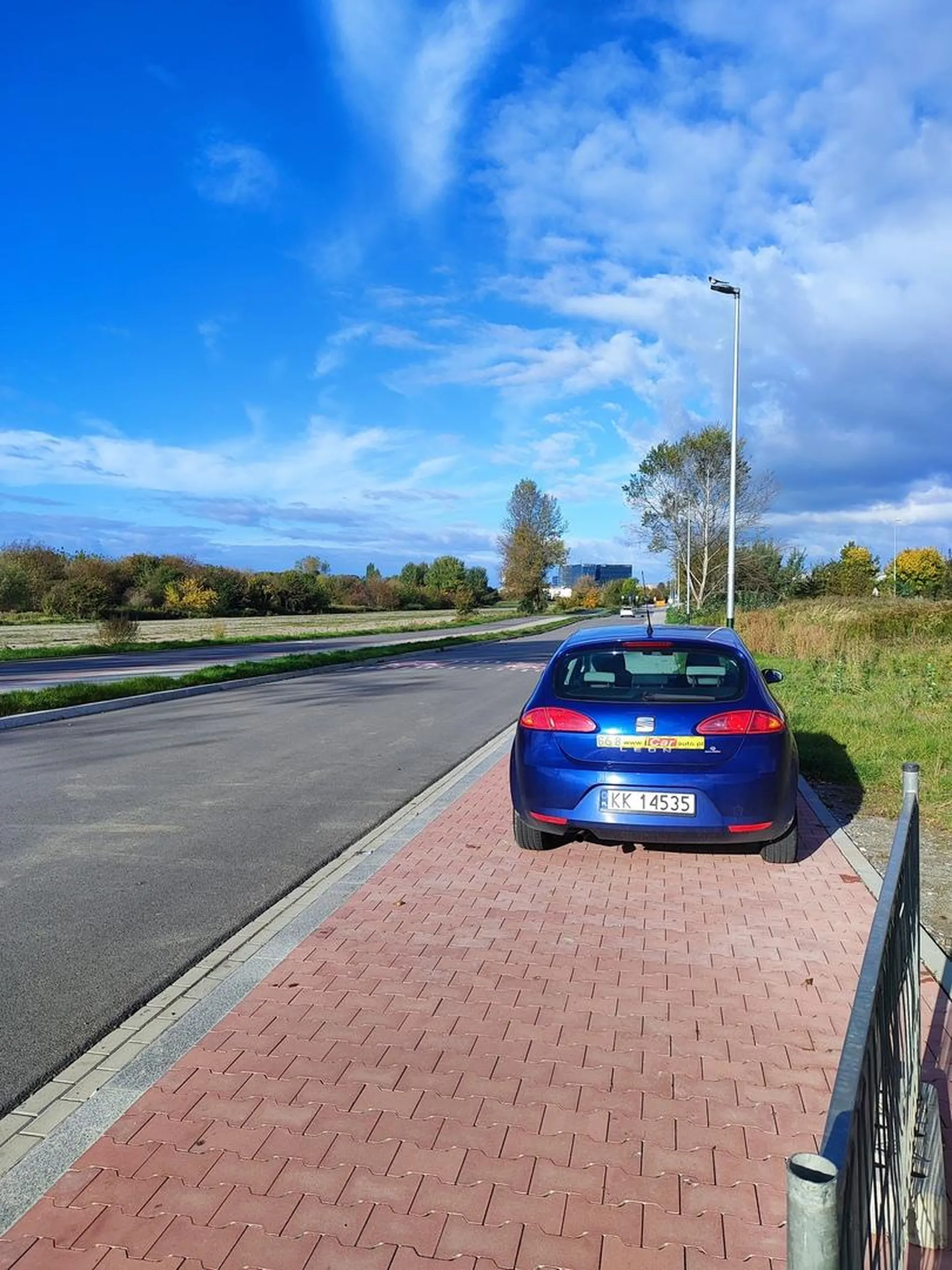 Nie dość że nie widzi znaku B-36 to jeszcze zajmuje cały chodnik. Wstyd