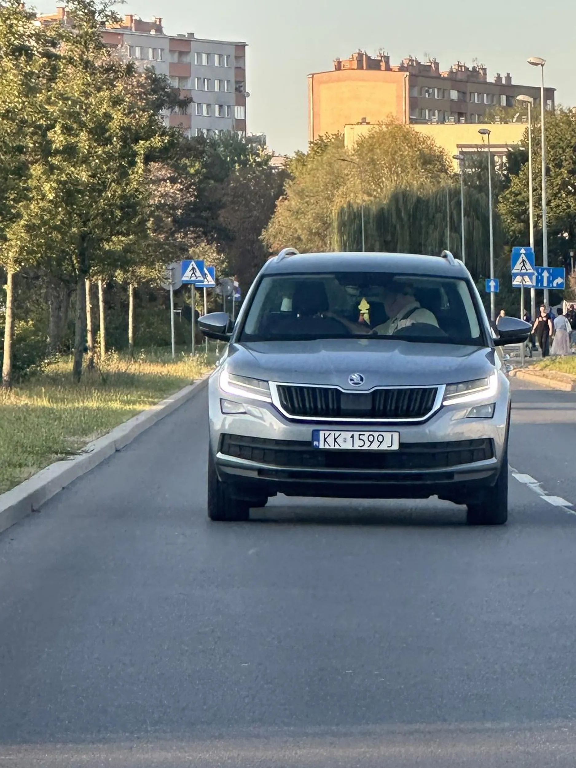Jeżdżenie pod prąd to już chyba jakaś wyższa szkoła jazdy, a prawo jazdy chyba wysrane a nie znalezione w chipsach