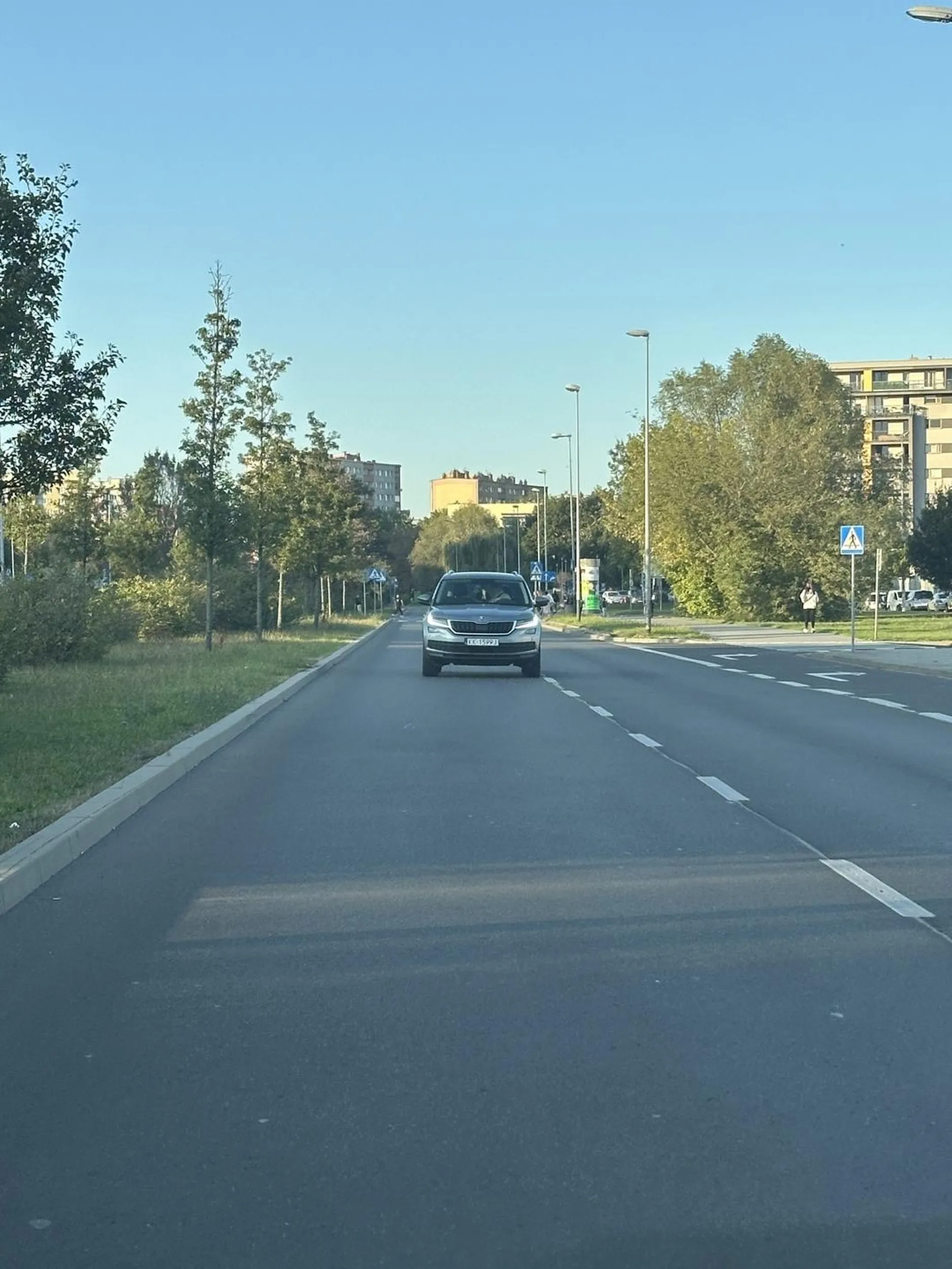 Jeżdżenie pod prąd to już chyba jakaś wyższa szkoła jazdy, a prawo jazdy chyba wysrane a nie znalezione w chipsach