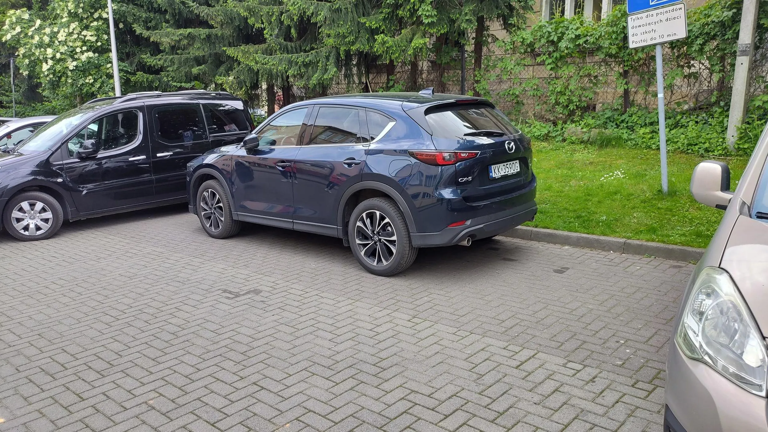 Widać nie umie czytać 3 godziny parkowania jak baran