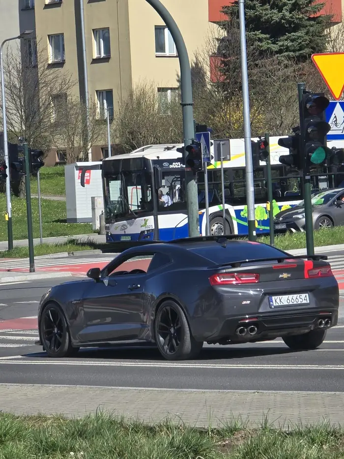 Napakowany bezmozg nie panuje nad emocjami trąbi i wyskakuje z łapami do ludzi