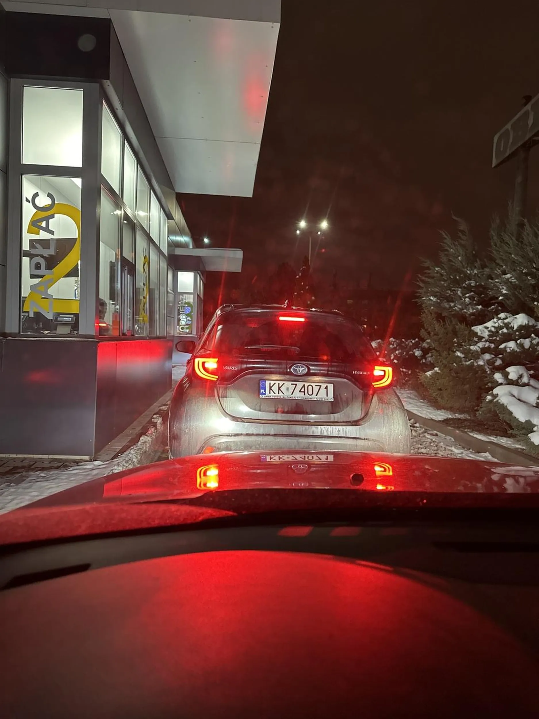 Gruba świnia wciska się na drive z głodu