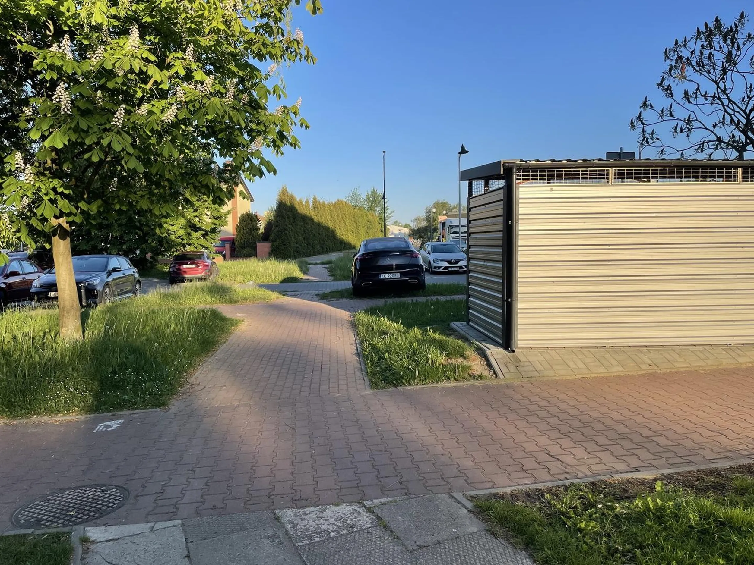 Po co zaparkować na miejscu parkingowym skoro można niszczyć zieleń?