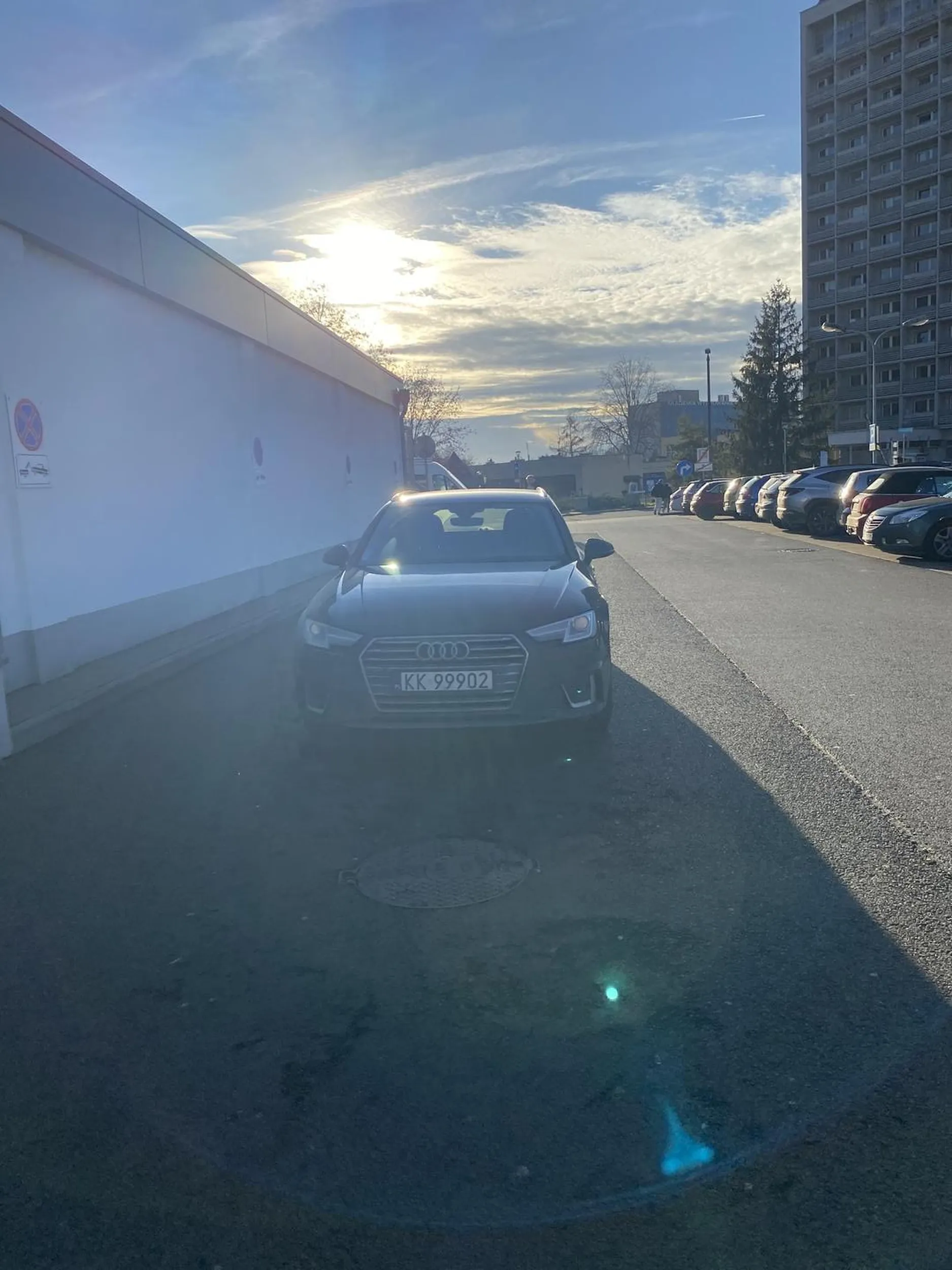 Stoi na środku drogi