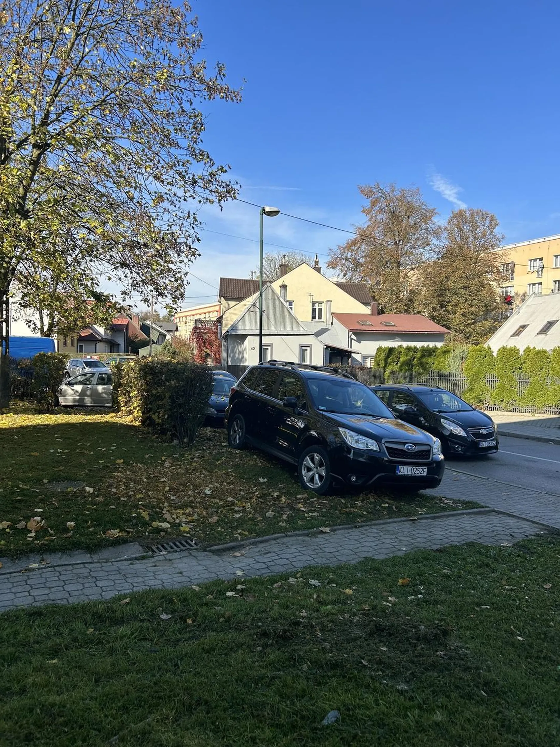 Pozdrawiam upośledzonego kierowcę