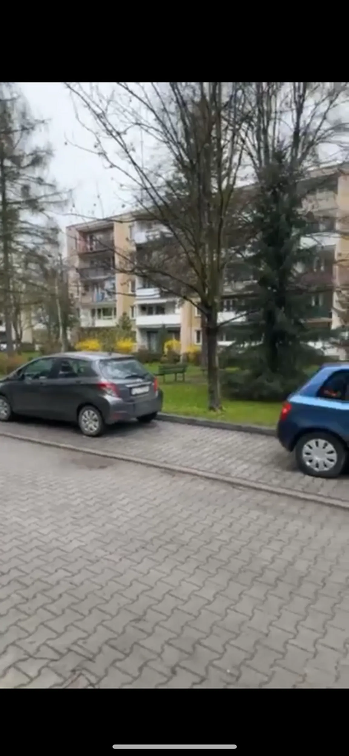 Pani Parkuje z odstępami jak Lamborghini żeby nikt nie obił… przez takie osoby później samochody nie mają gdzie stanąć