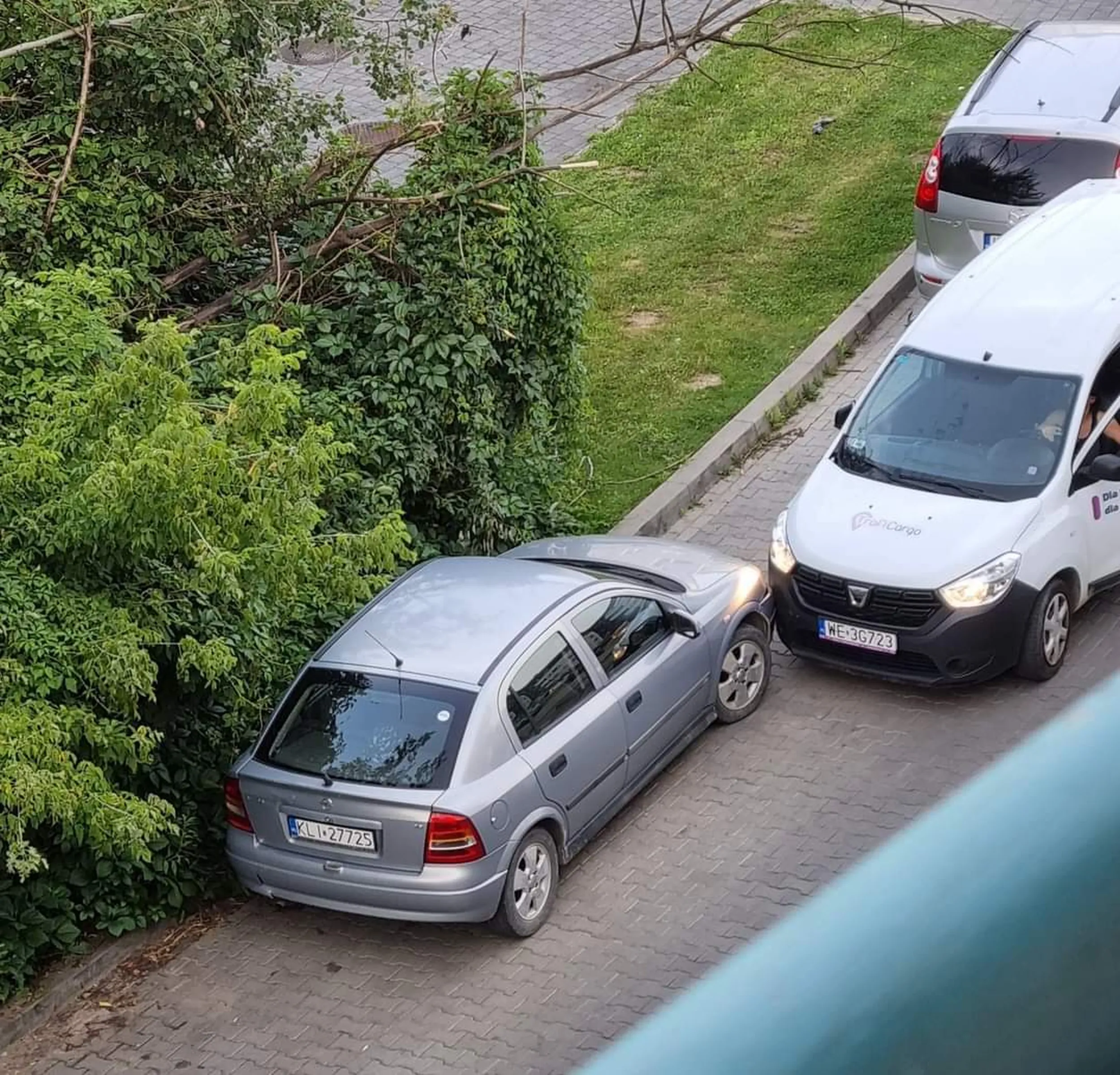 Pana samochód został uszkodzony. Zdjęcie sprawczyni.
