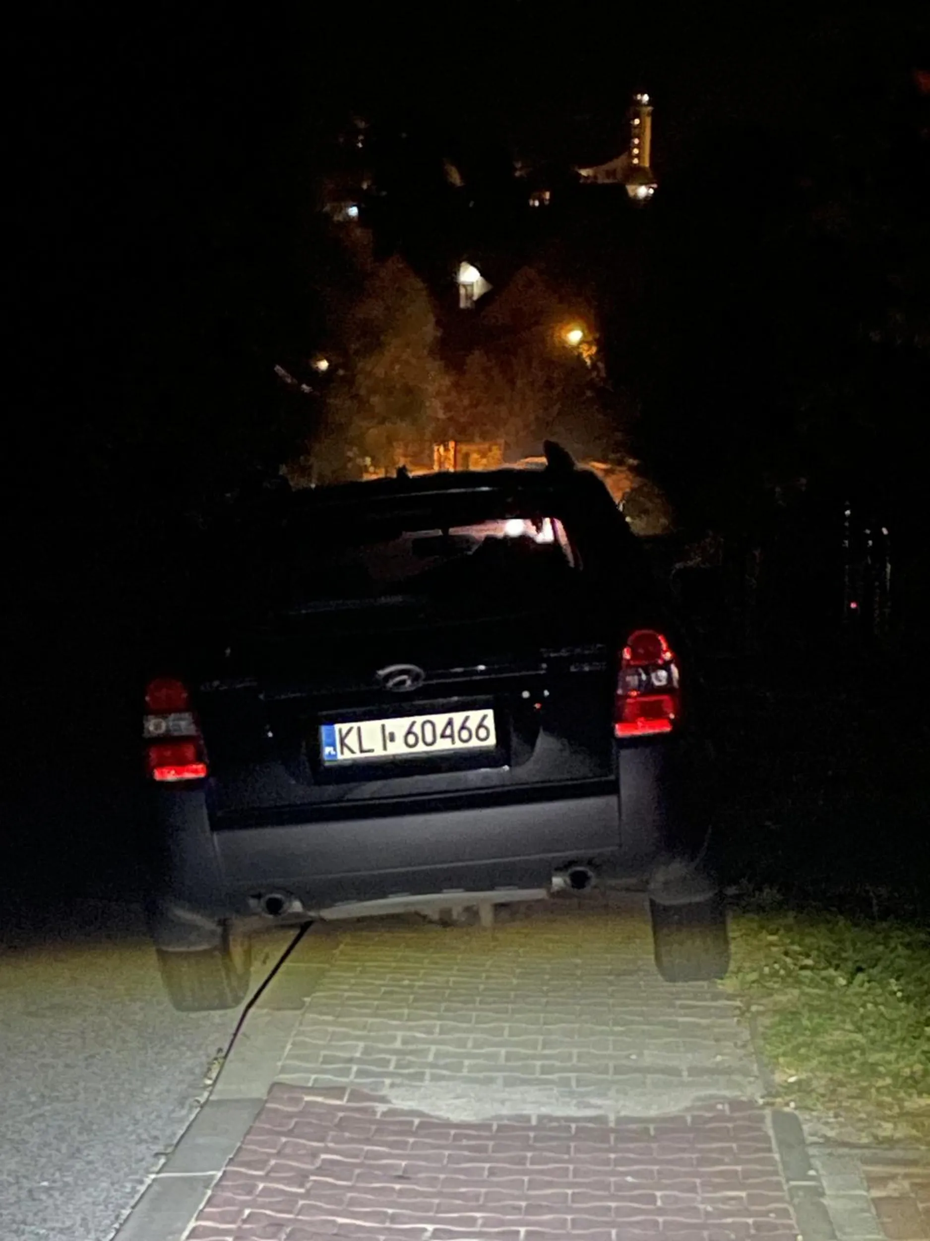 staje na cały chodnik i brak przejścia