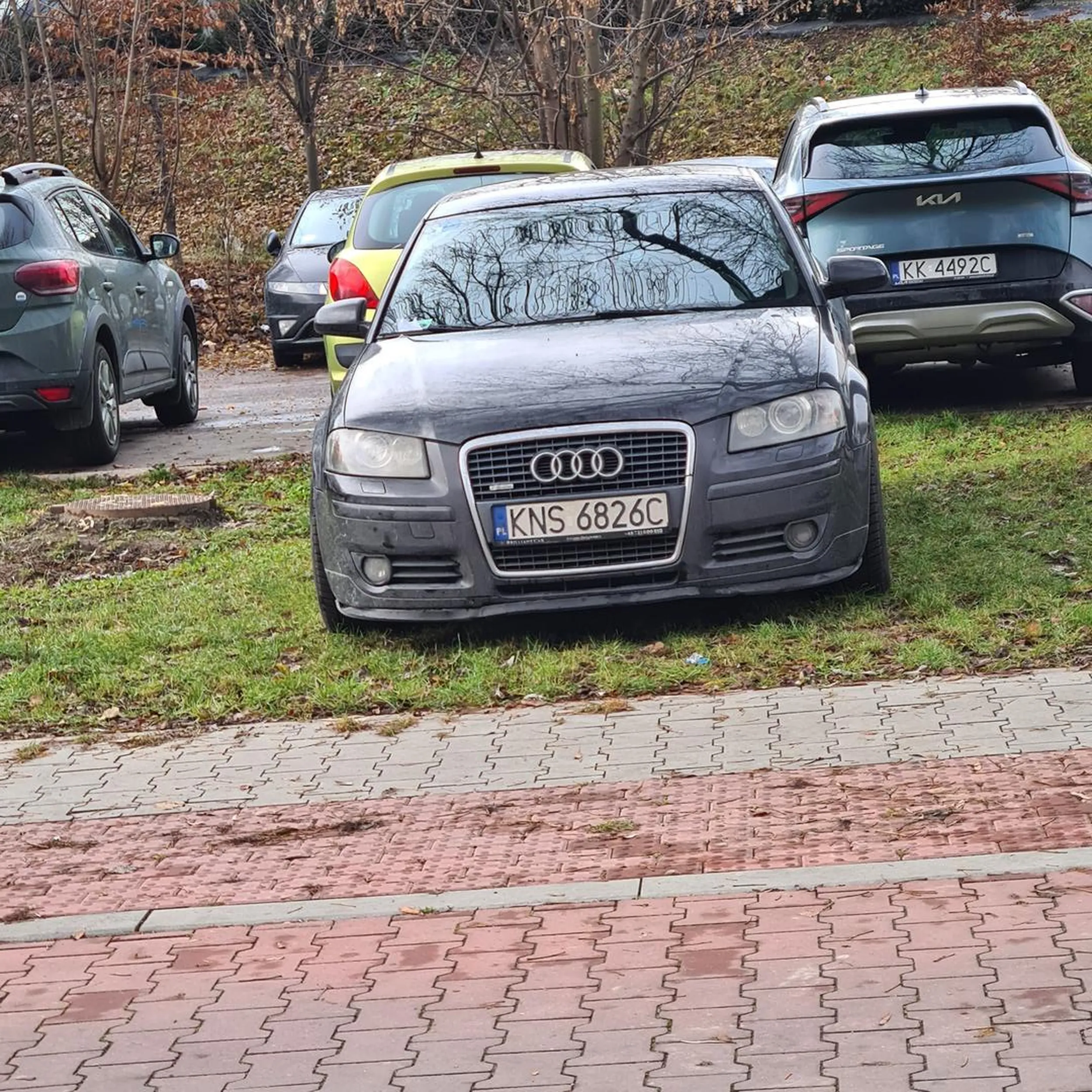 Chamek korzenny rodem z Bochni postanowił w Krakowie zaparkować sobie na trawniku i tak stać parę dni gdzie obok masz parking ,wracaj do siebie chamku do piździchowa tym swoim ulepem