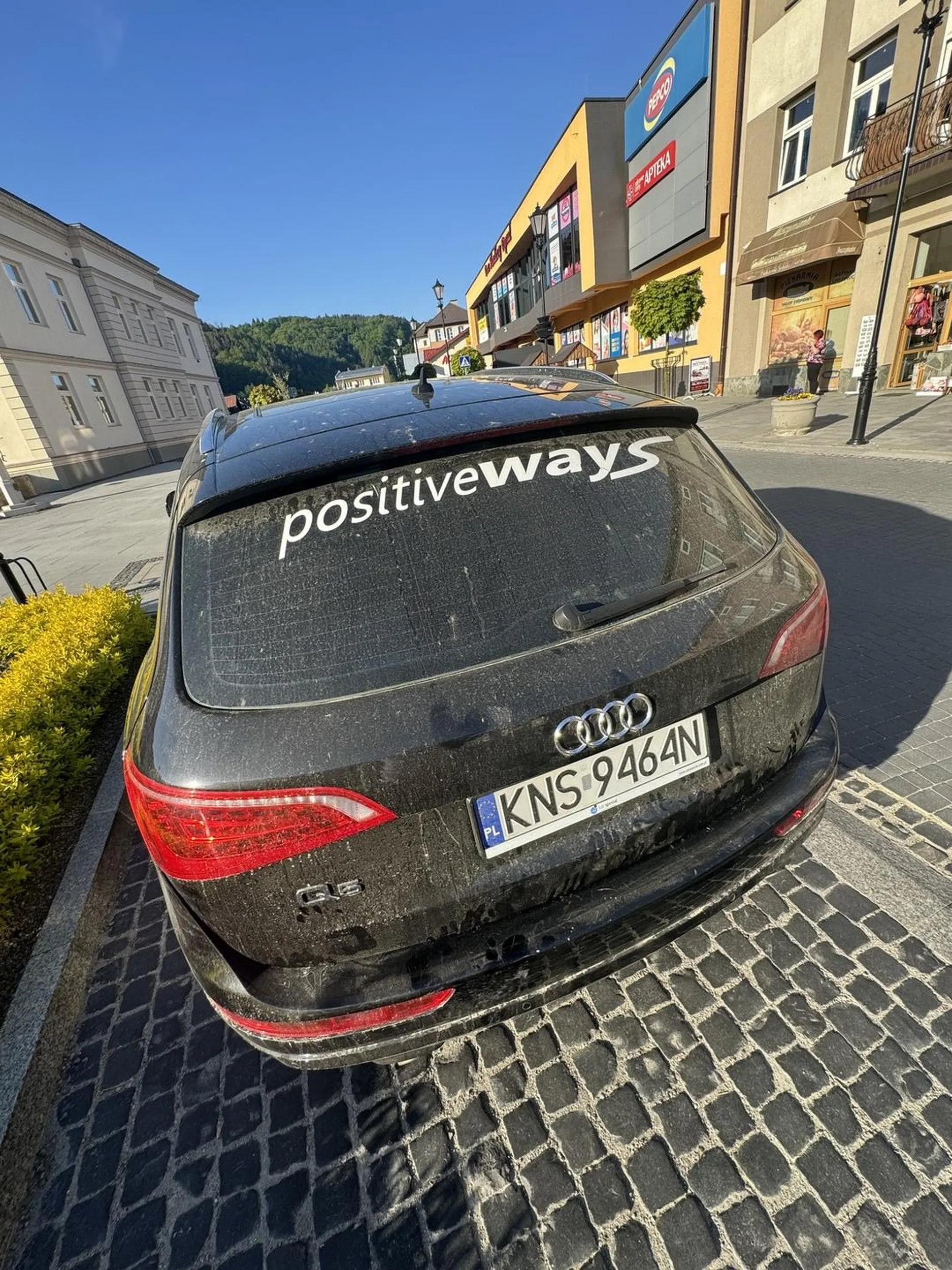 Polecam właścicielowi myjnię bo chyba nie wie co to jest