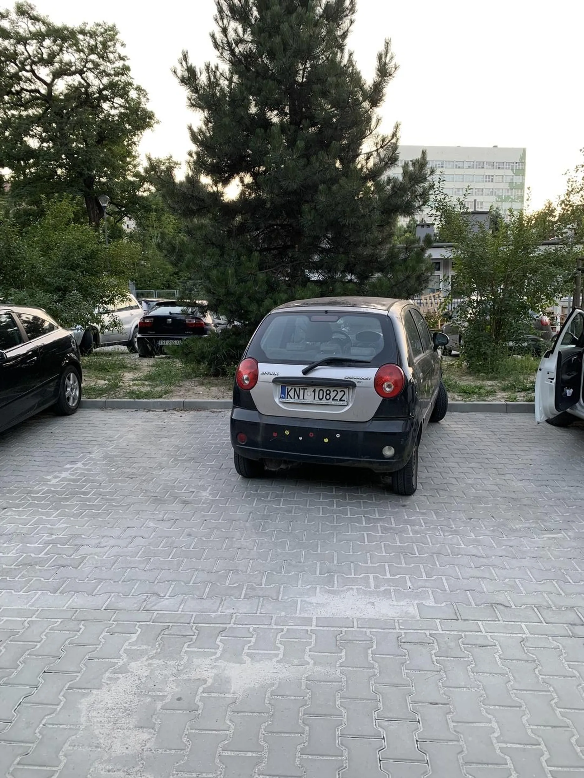 Zdjęcie nie wymaga komentarza