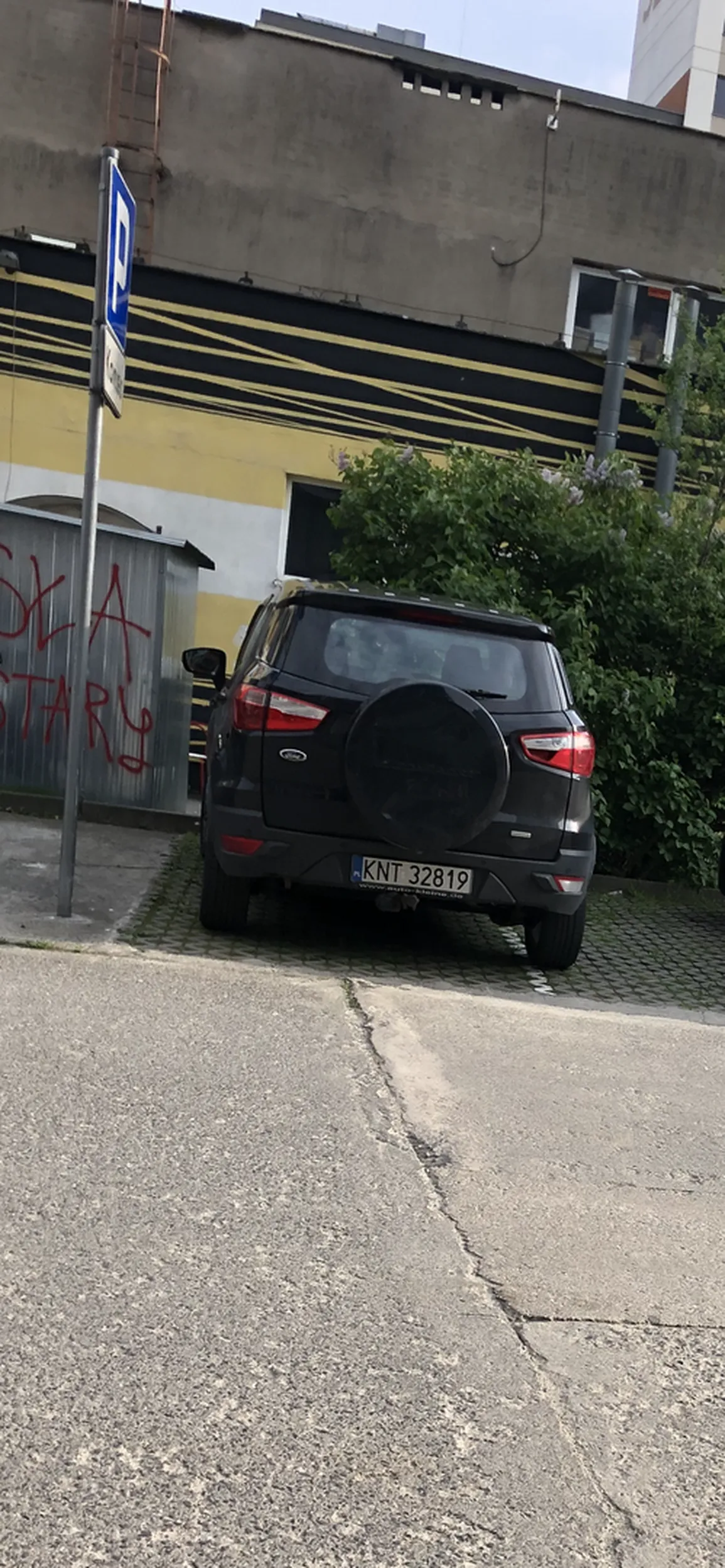 Czas poćwiczyć parkowanie. Szerokie miejsca, wolne po bokach a i tak d**** zajmie dwa