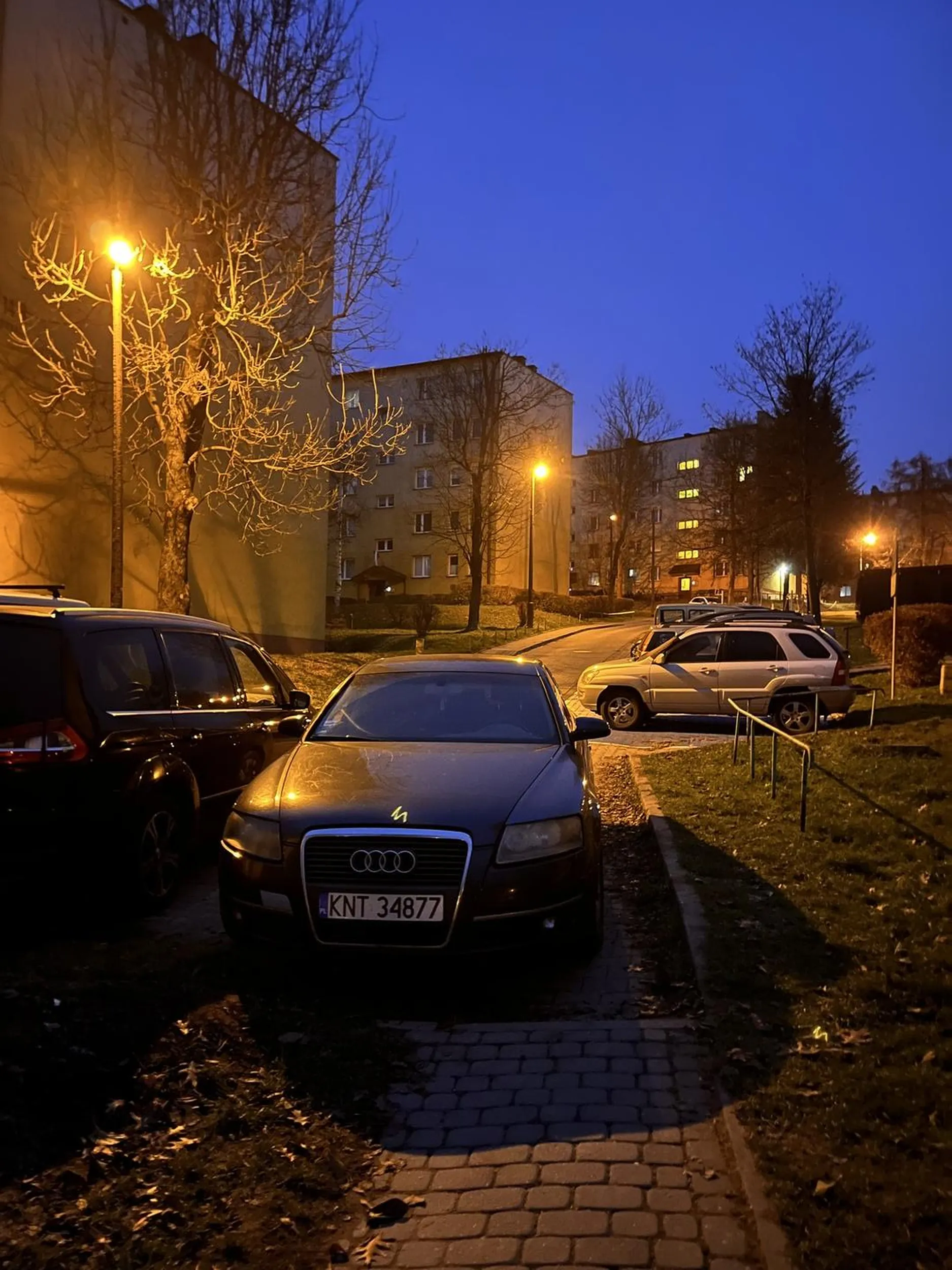 Parkujący audi to chyba myśli że osoby na wózku czy matka z dzieckiem w wózku to będzie po trawie latać