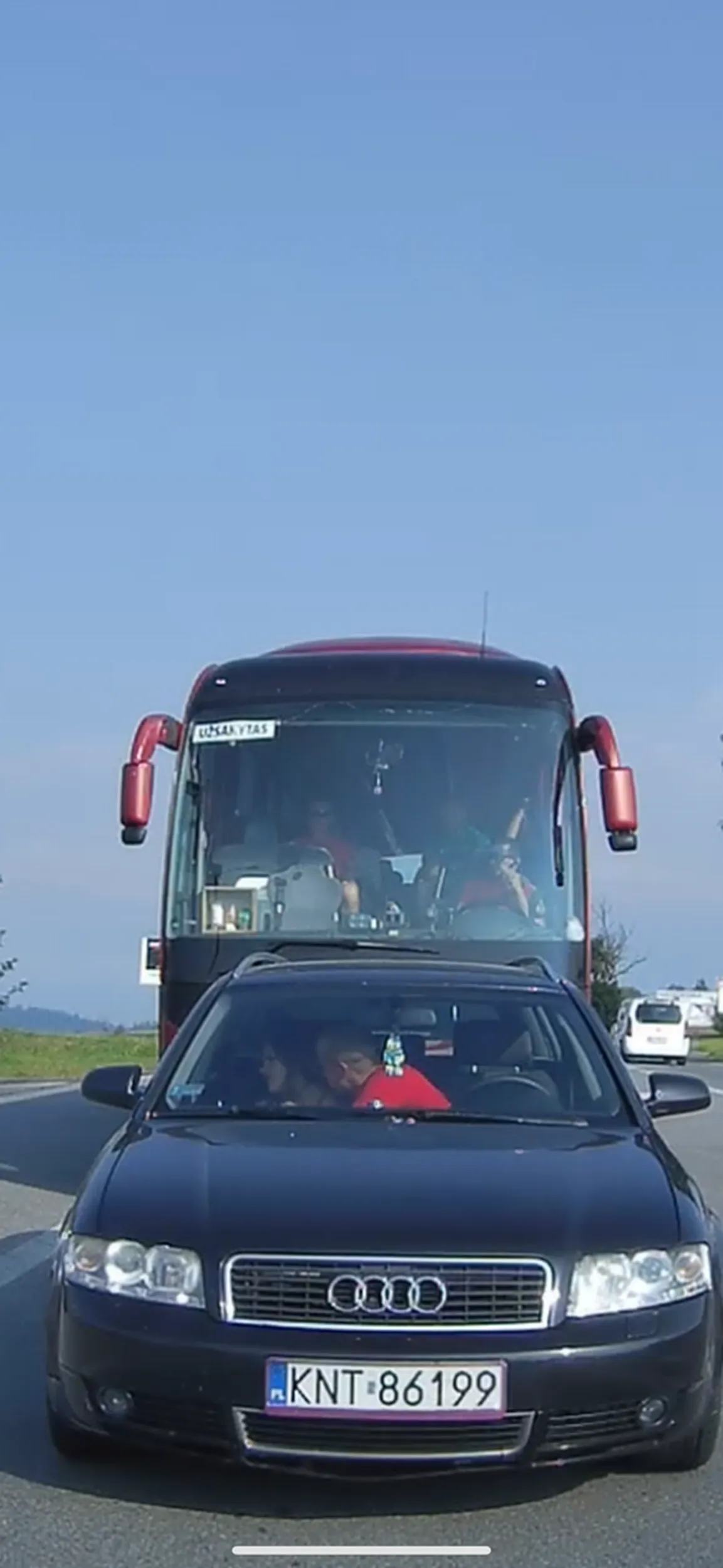 Następnym razem zapnij pasy i jej nie przepraszaj za głupotę. Nie ma jak nie obrazić o nagle zahamowanie w celu uniknięcia kolizji XD women