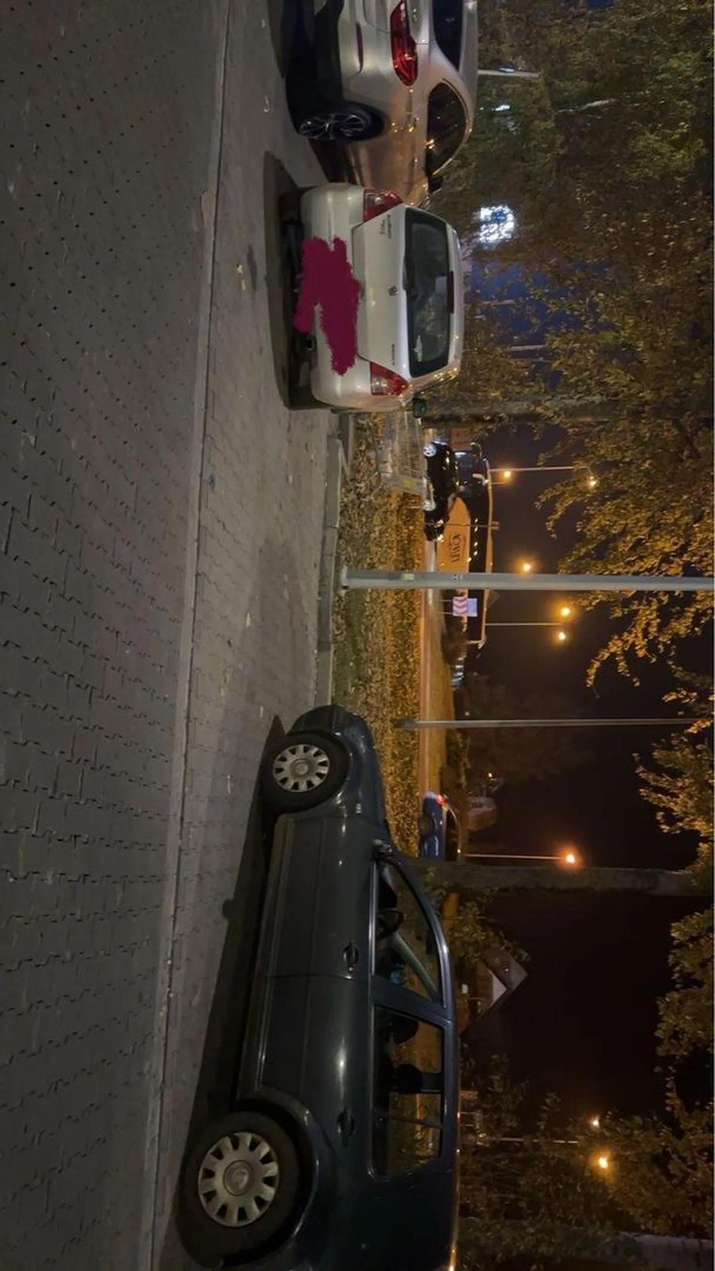 gosciu naucz sie parkowac