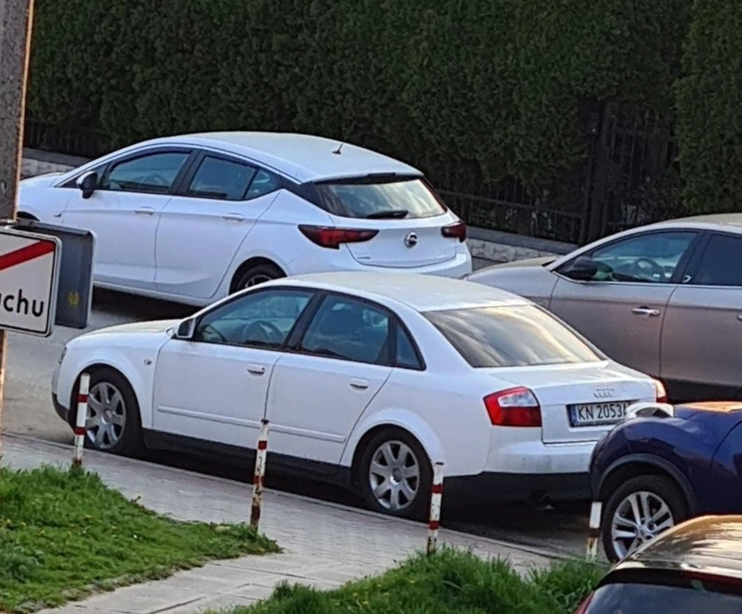 Klasyczny kierowca Audii.. Robi się agresywny kiedy ktoś zaparkuje na jego ulubionym miejscu w miejscu publicznym, zaczyna rzucać poważnymi groźbami w towarzystwie Mamusi, która przy okazji zwyklina od k*rew wspierając zbulwersowanego synka. :)