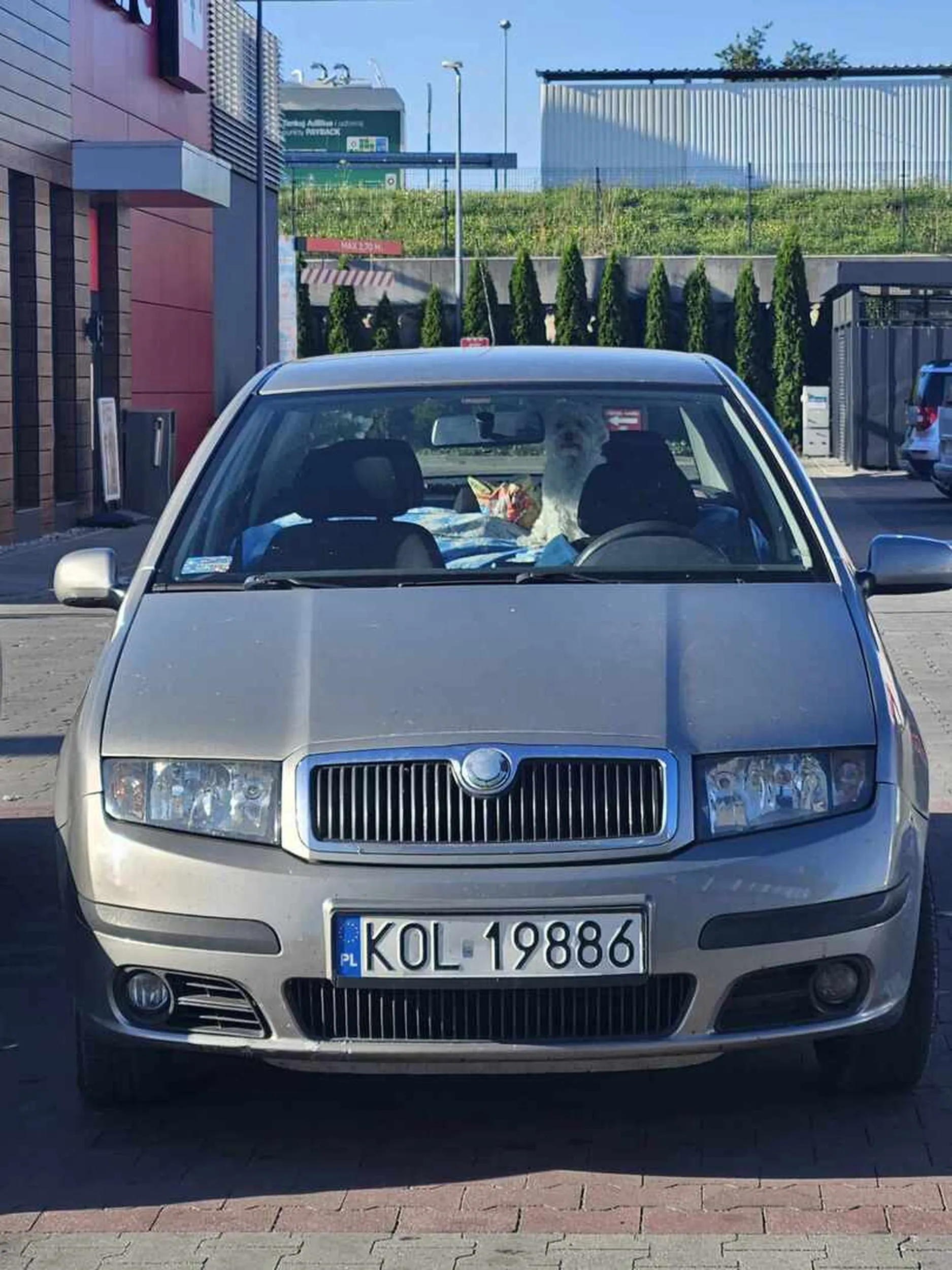 Pani zostawiła psa w samochodzie na minimum 30 minut przy temperaturze 30 stopni, okna uchylone na 1cm, pies dyszał ledwo oddychał po powrocie stwierdziła, ze przeciez pies ma otwarte okno więc  nic się nie dzieje.