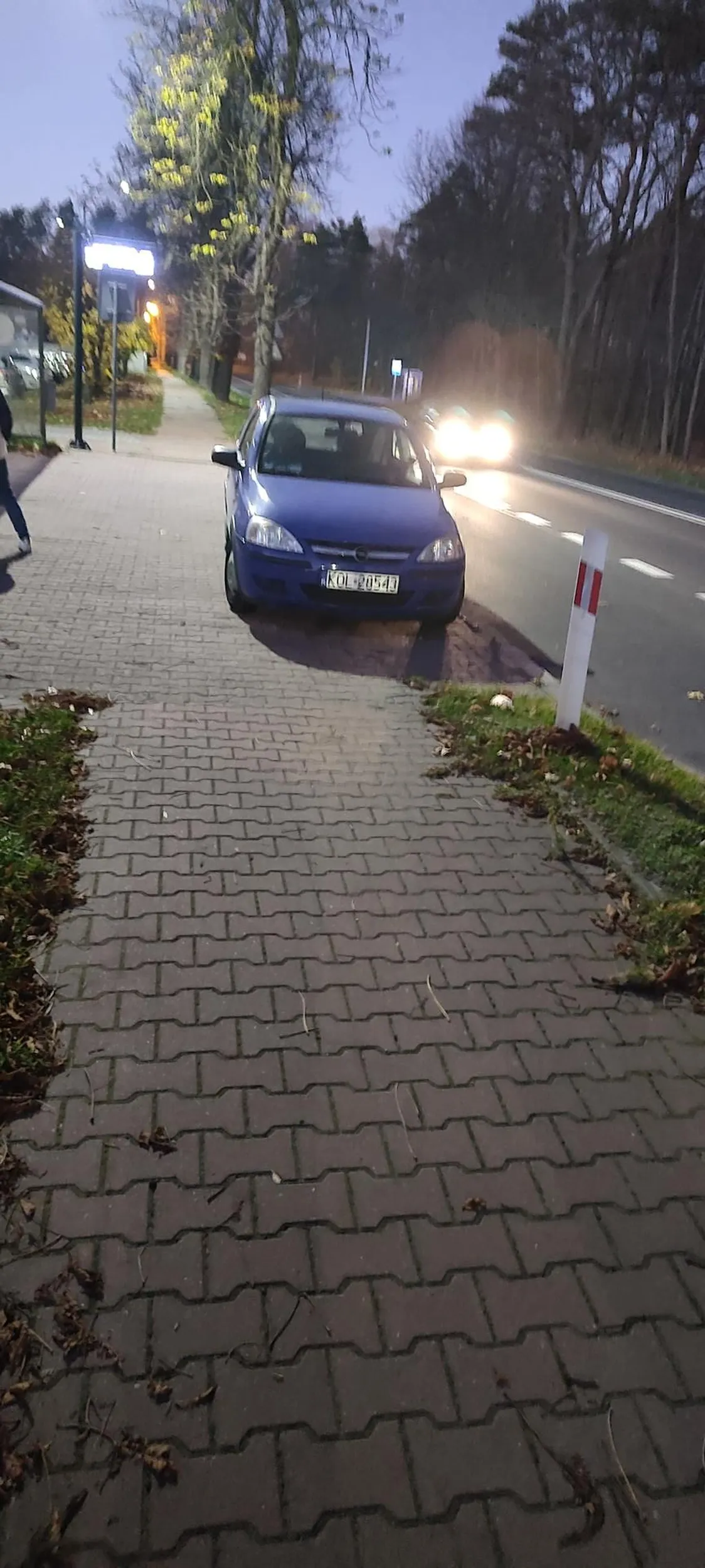 Gratuluję parkingu na przystanku. Powiedz w których czipsach znalazłeś prawo?