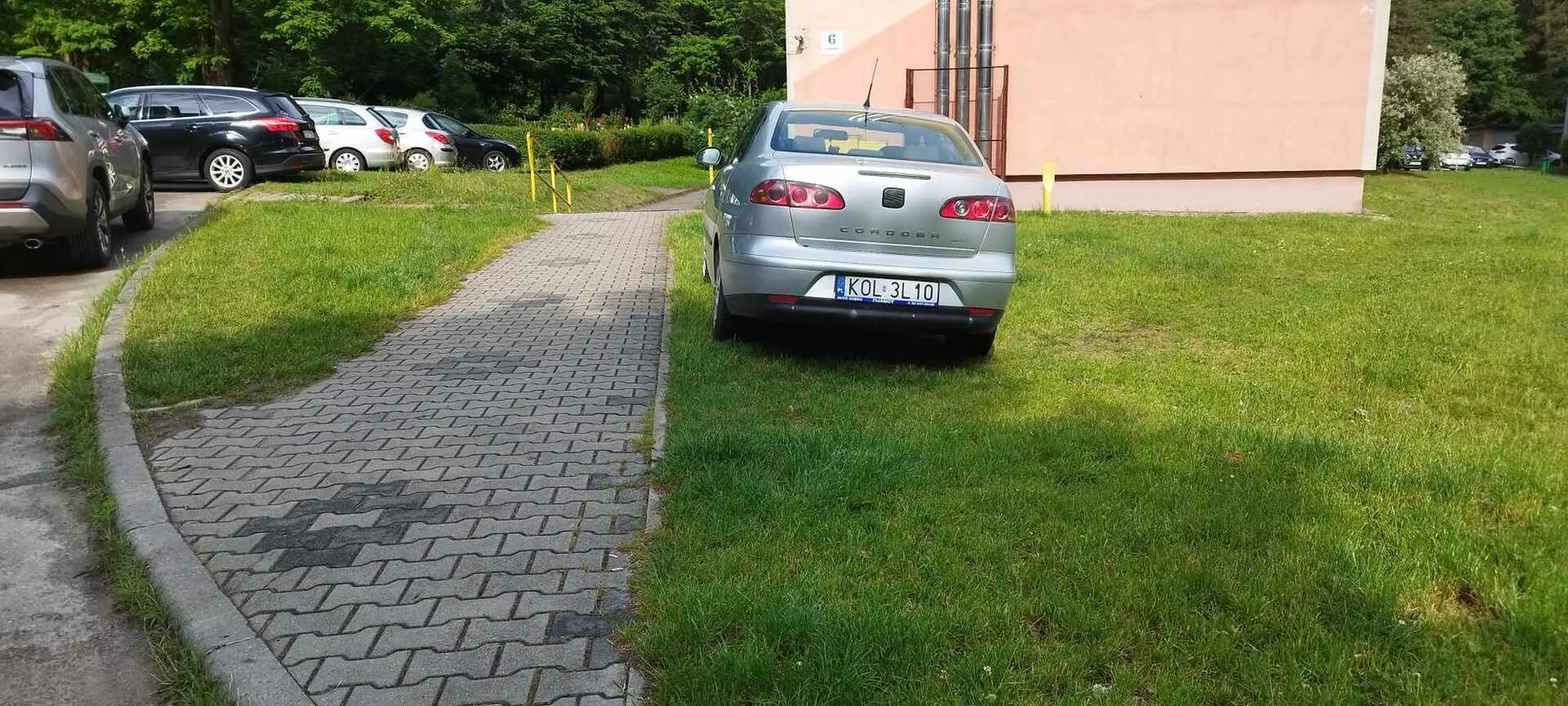 Pozdrawiam kolegę który pomylił trawnik z parkingiem