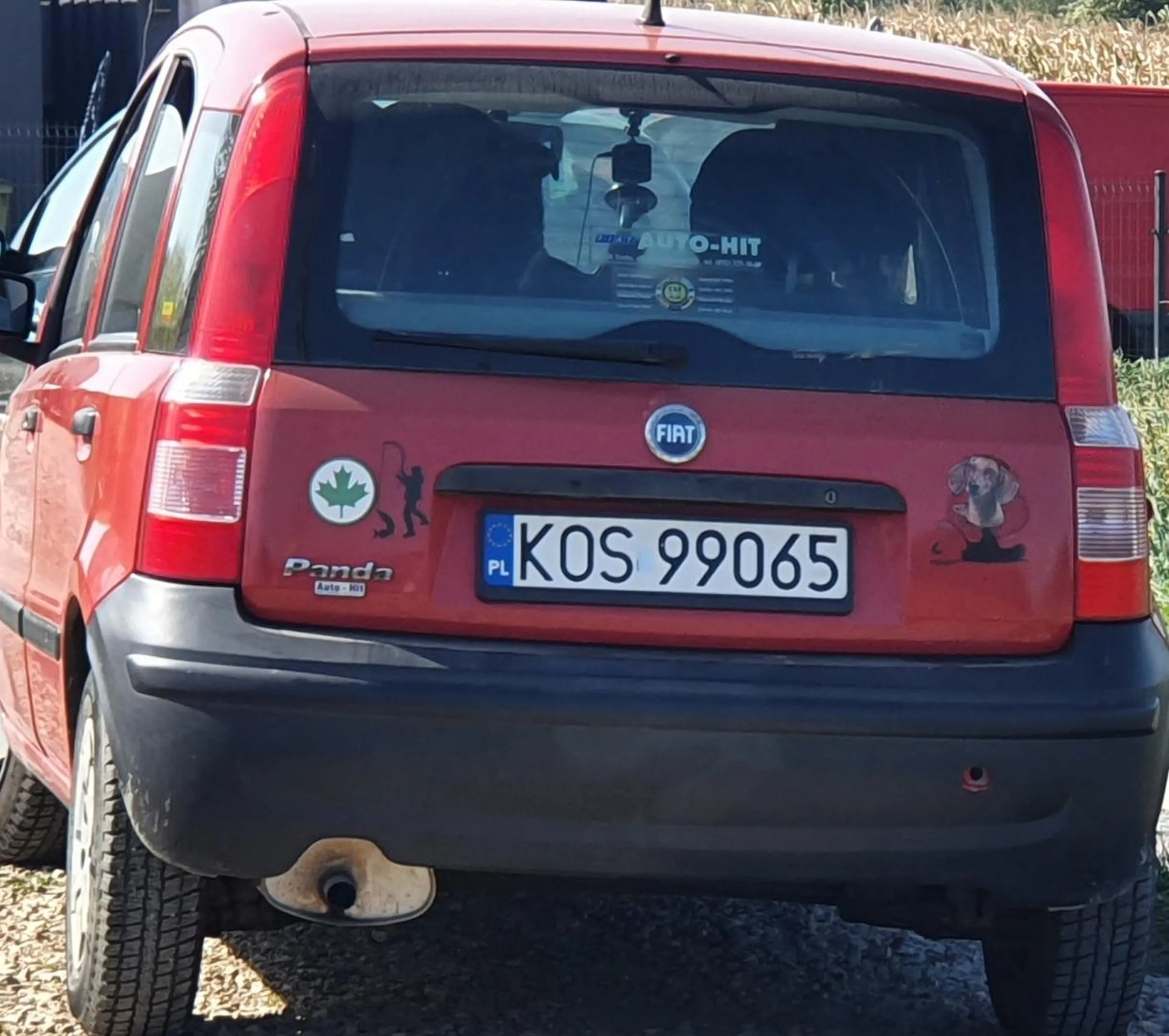 Nawiedzona baba, terroryzuje innych kierowców w okolicy. Ksenofobia to jej drugie imię. Nie rozmawiać, unikać. Pluje jadem jak mało kto.