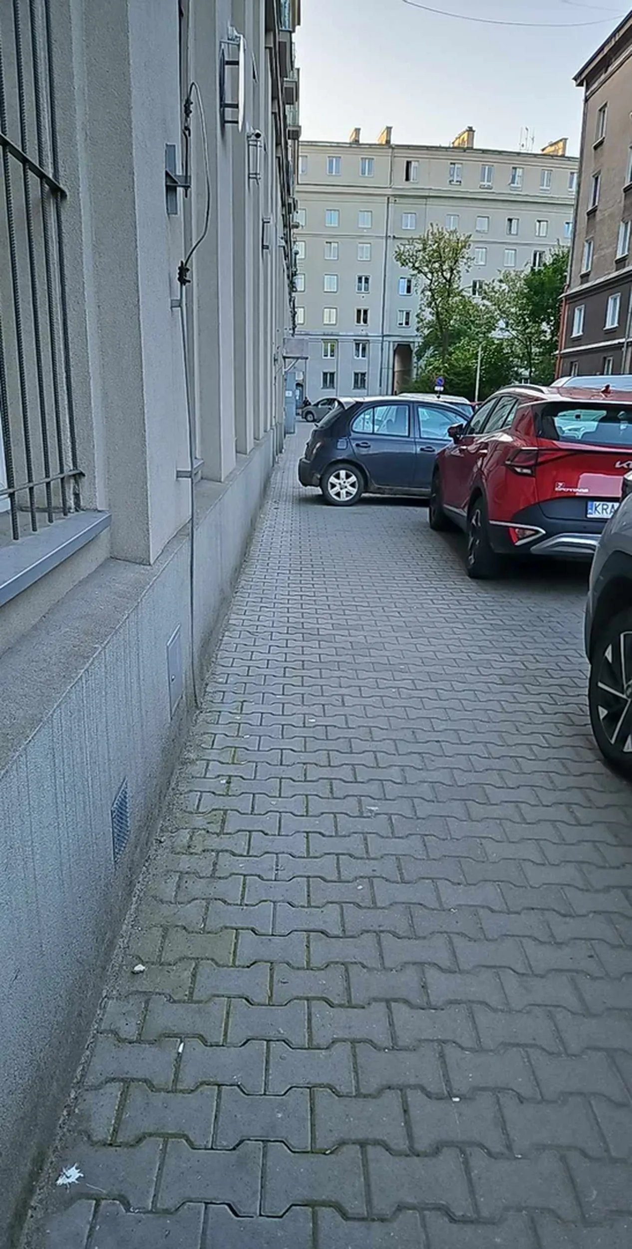 Geniusz parkowania, mistrz ciasnej szpary w natarciu