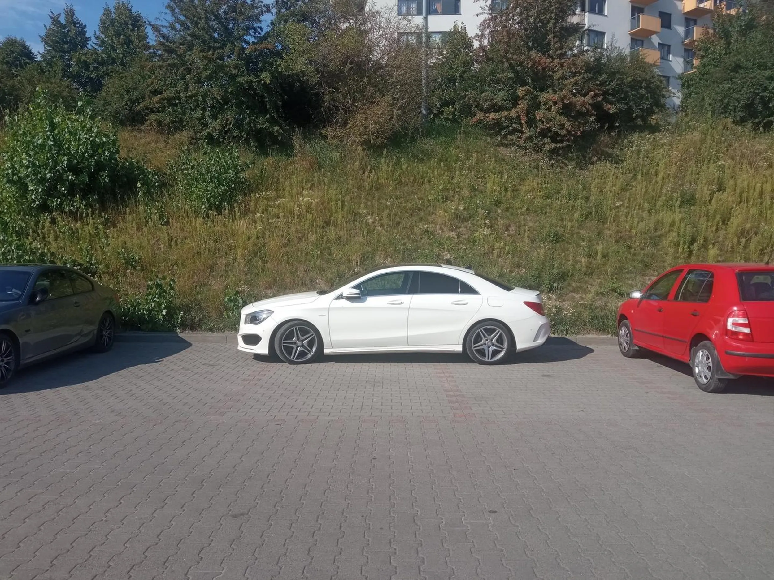 Naucz się parkować lamusie